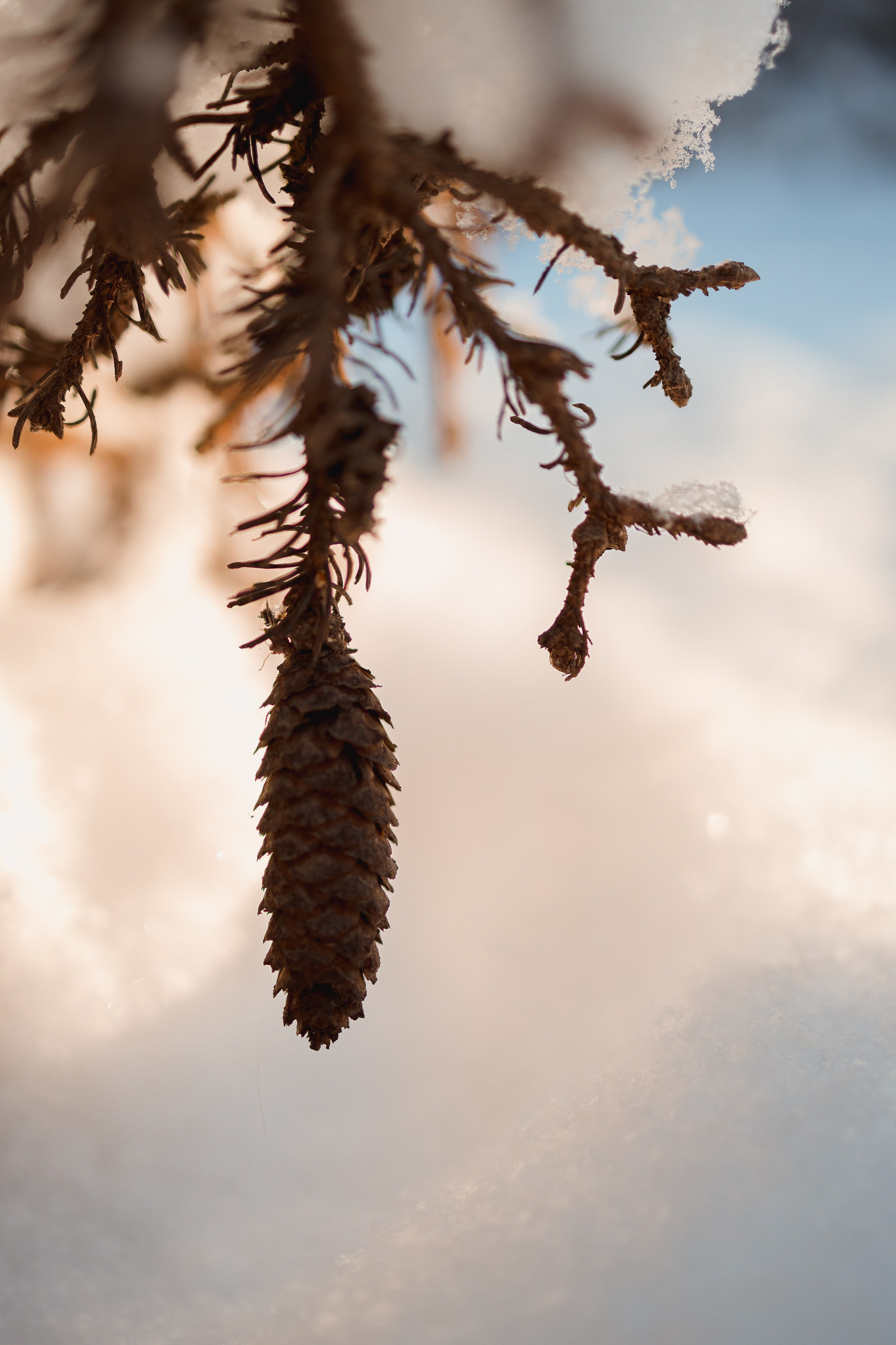 Зима 2023, -30. Семейный и детский фотограф в Железногорске Саламахо Ольга