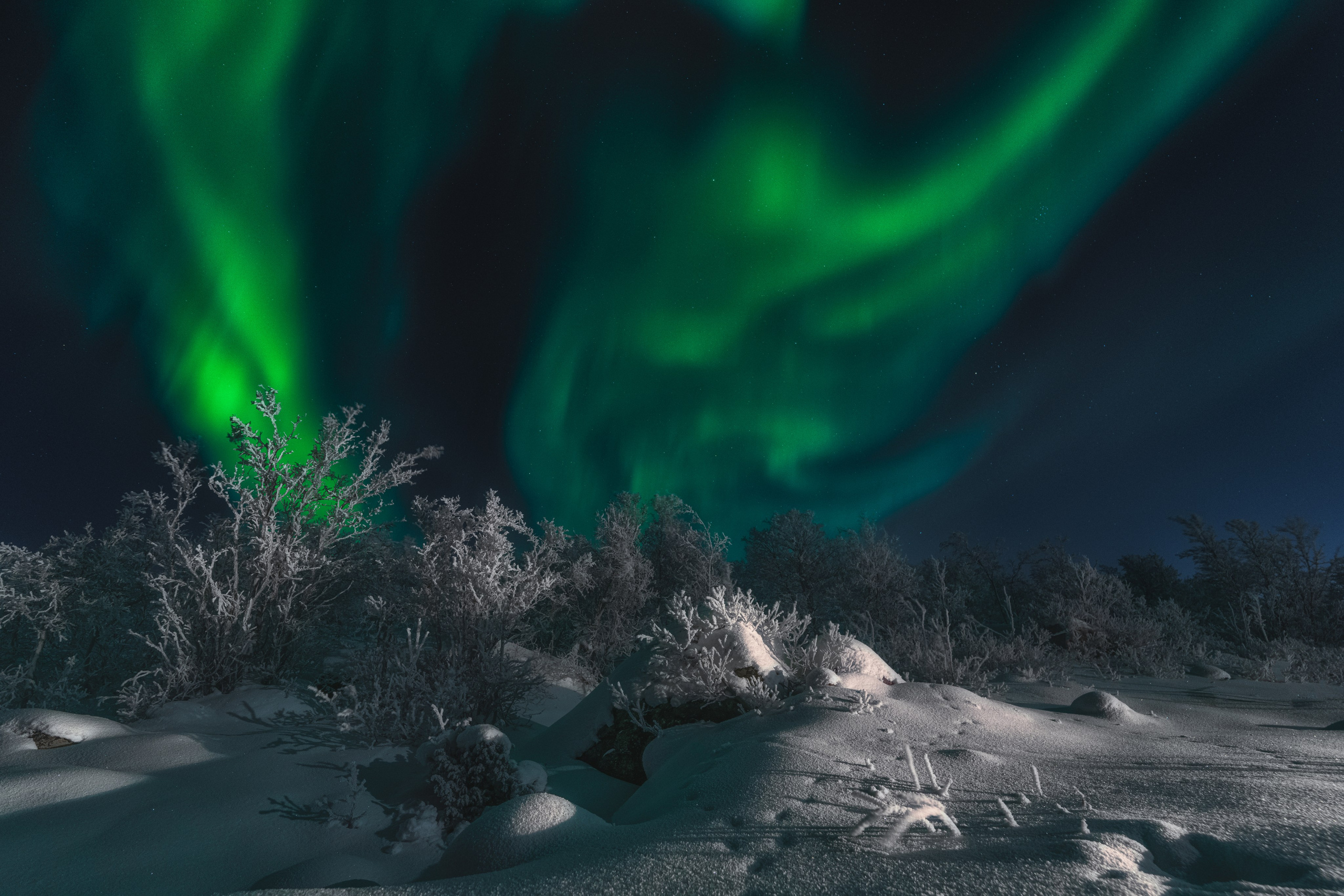 Предзимье на Кольском