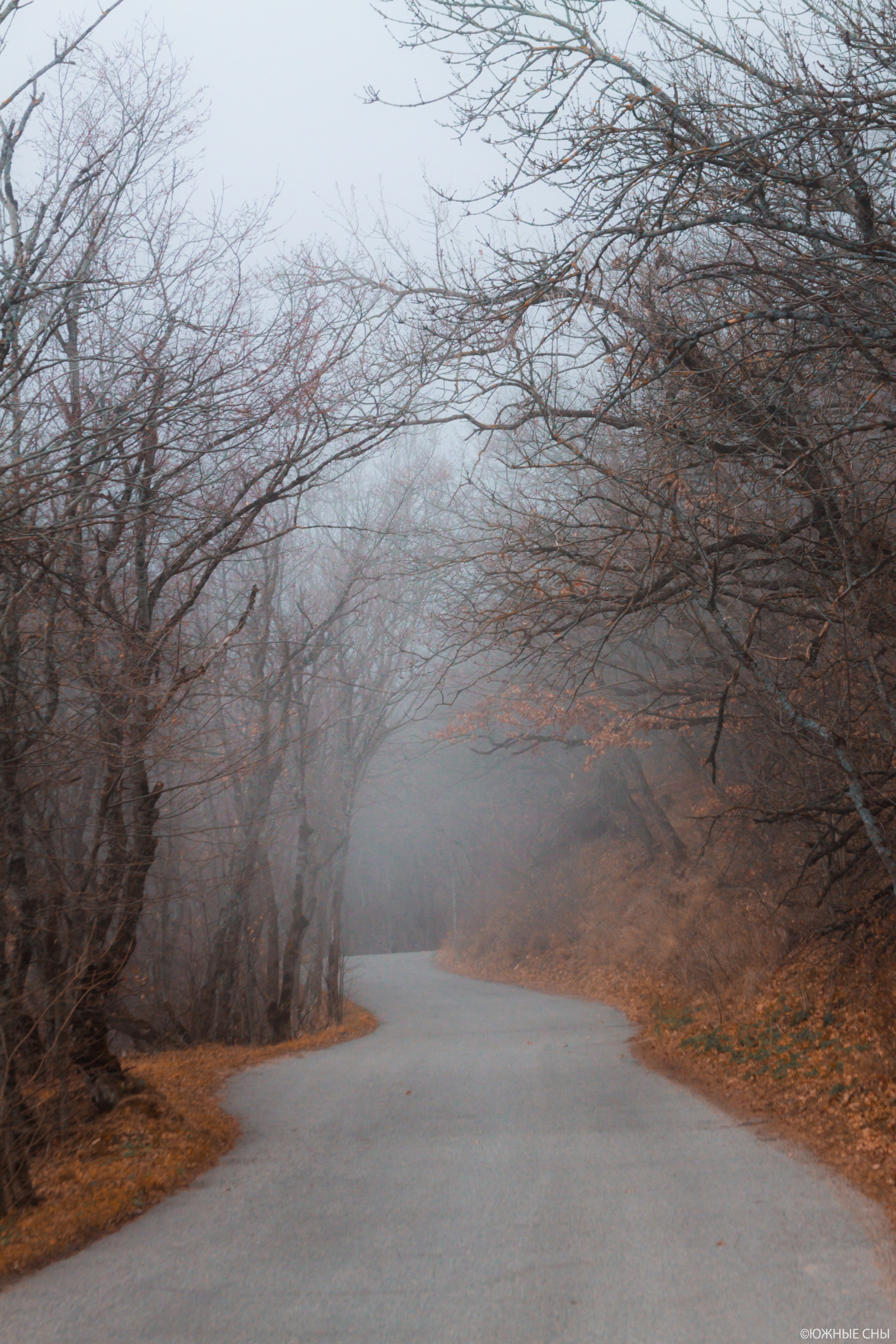 Кольцевая дорога вокруг Бештау