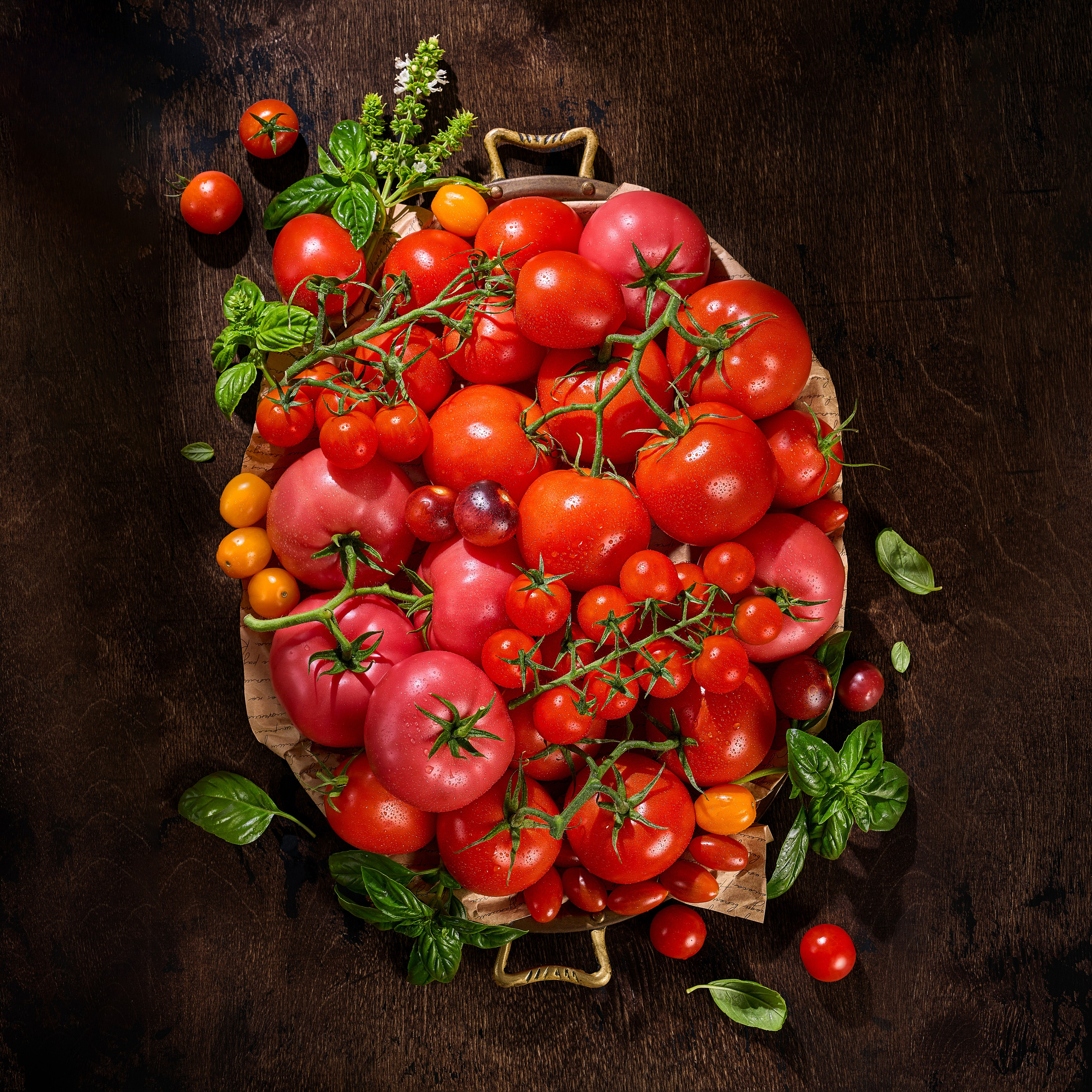 Cheese Food Photo — Предметная и фуд фотосъёмка в Белгороде