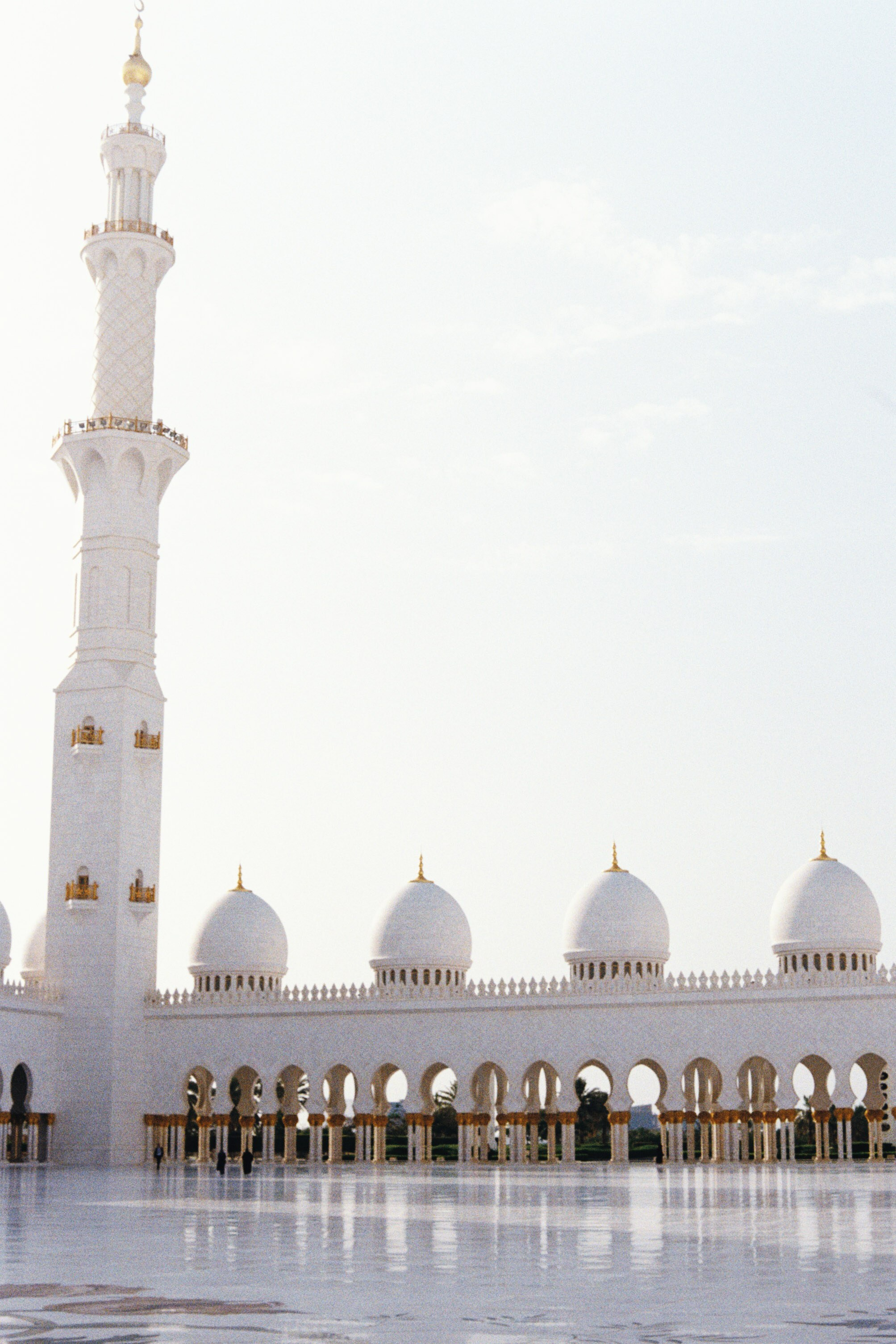 Dubai \ may 2024 \ film 35 mm. Коммерческий Фотограф Виктор Фоменых