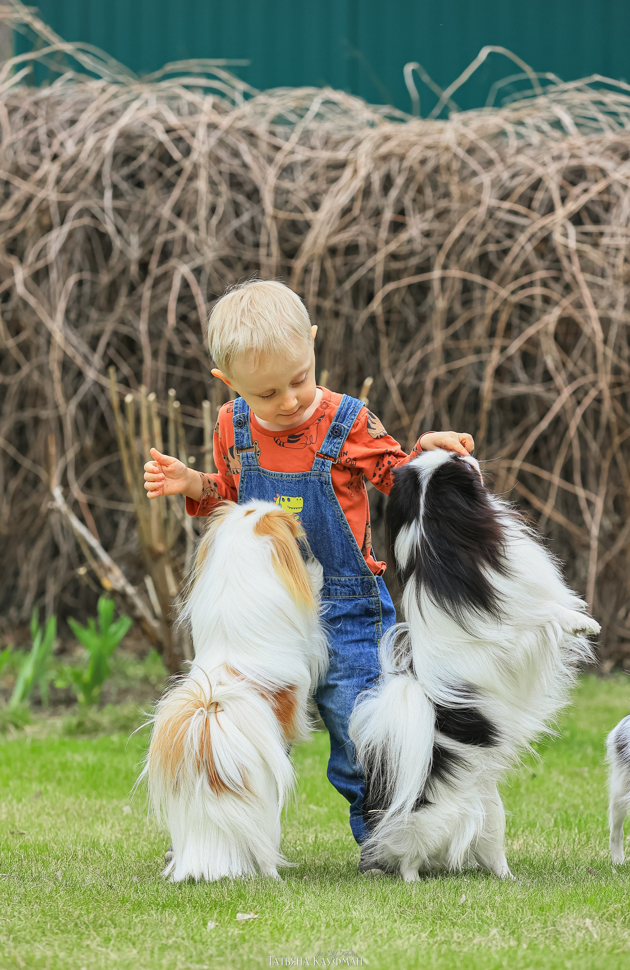 Охиненный фотодень. Фотограф Анималист из Новосибирска Татьяна Кауфман
