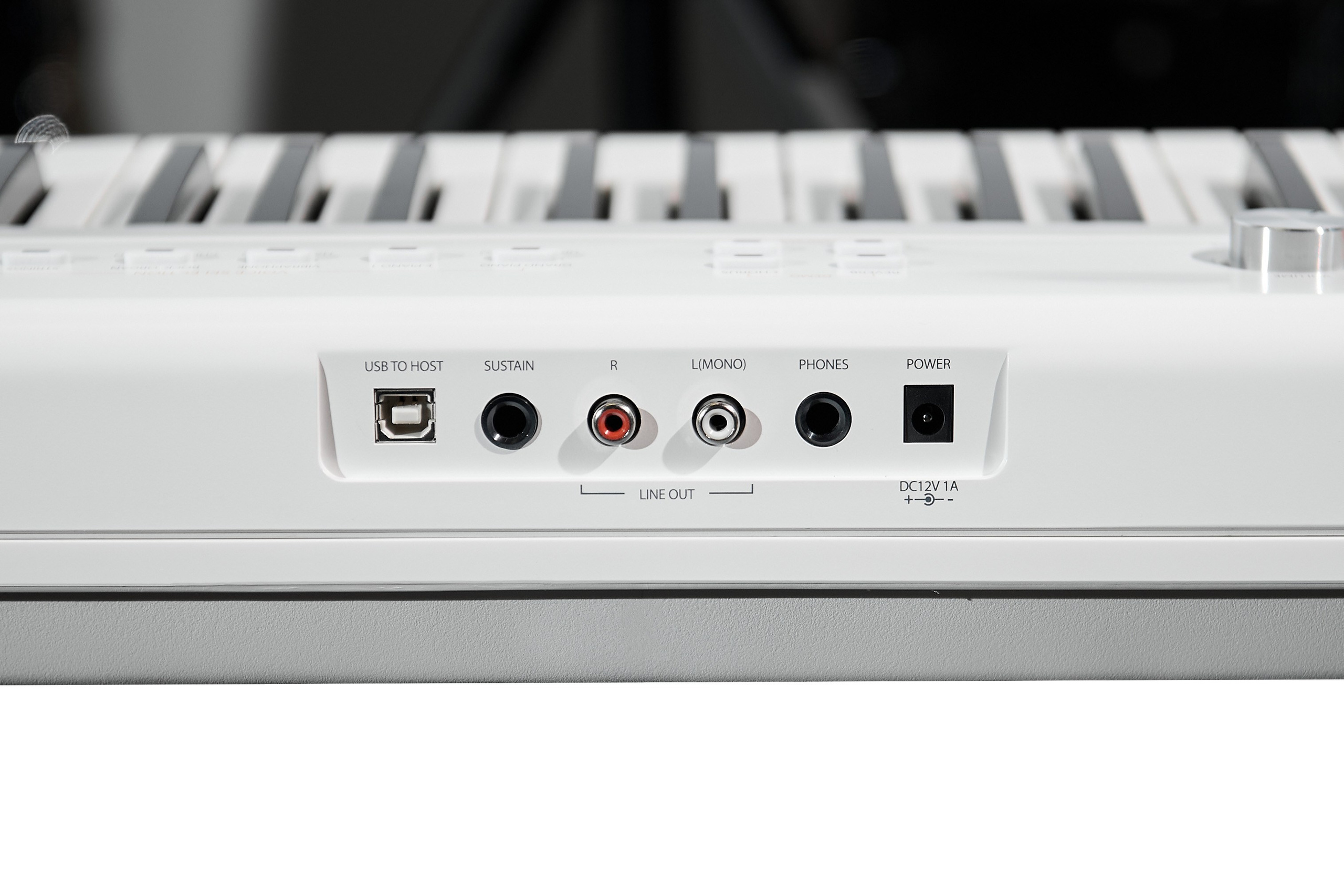 Фотограф — Данилов Михаил. Бизнес и контент фотограф — Михаил Данилов | Москва, Видное, Домодедово