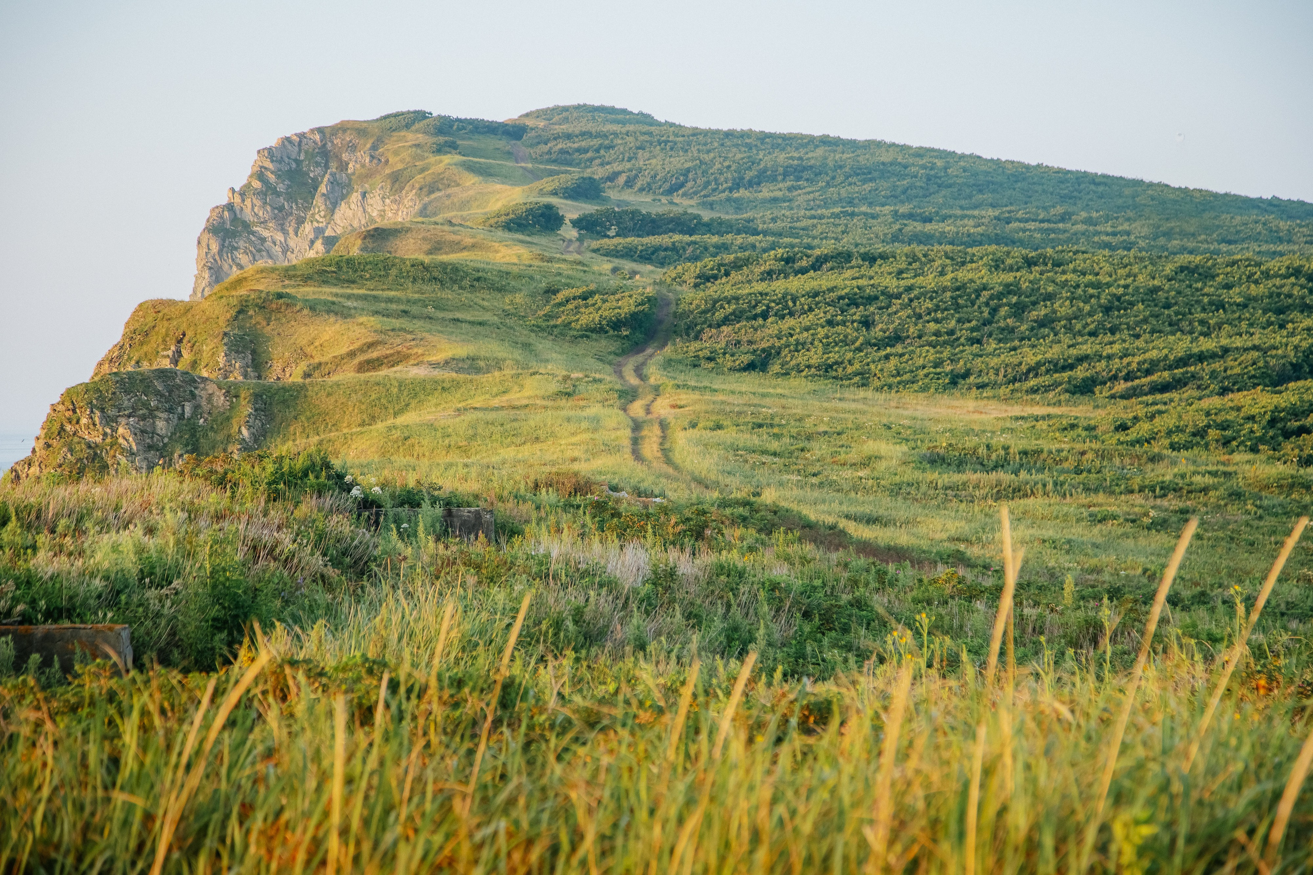Пока не застроили. Evgeniya Kokurina