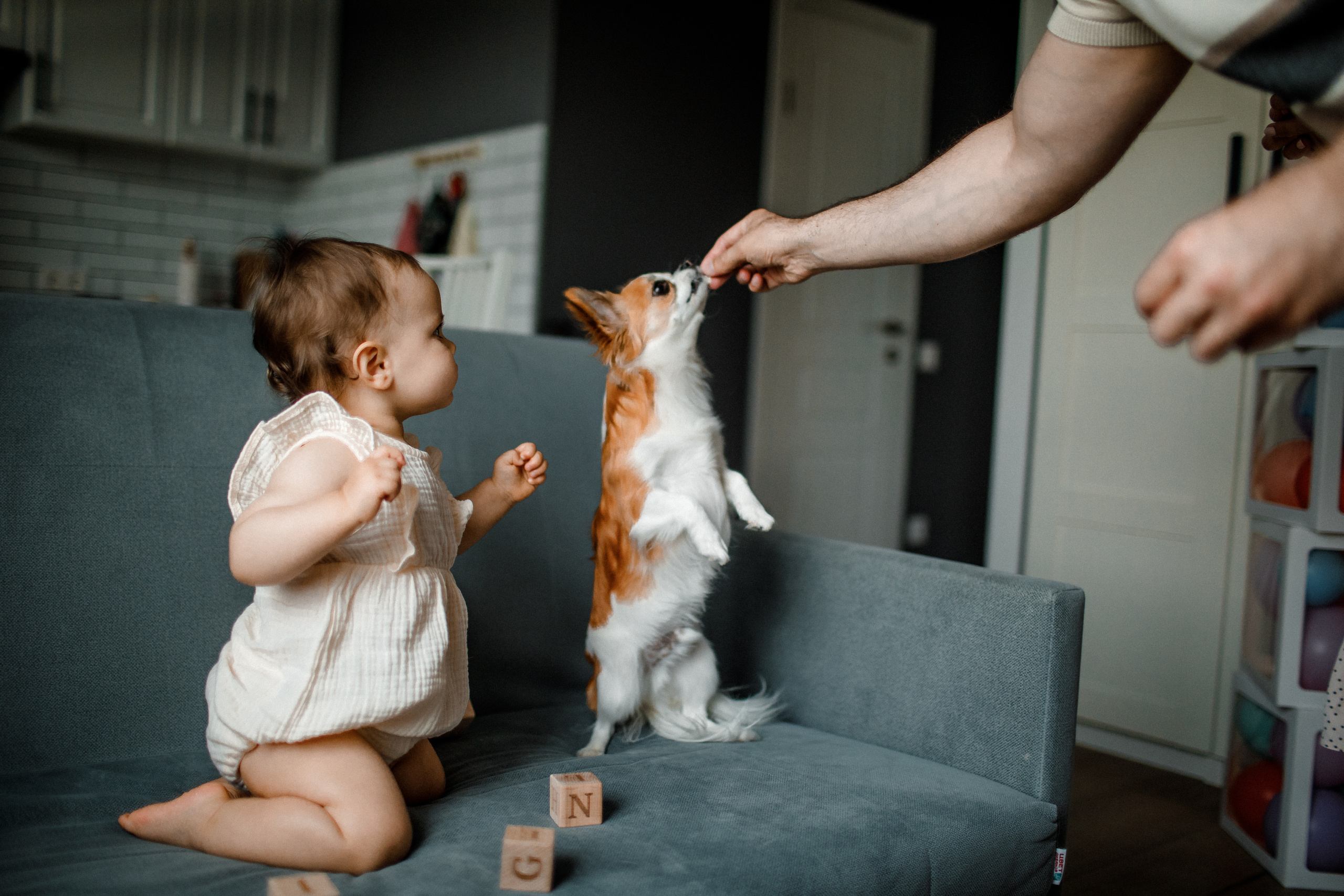 Фотосессия 1 годик ребенку