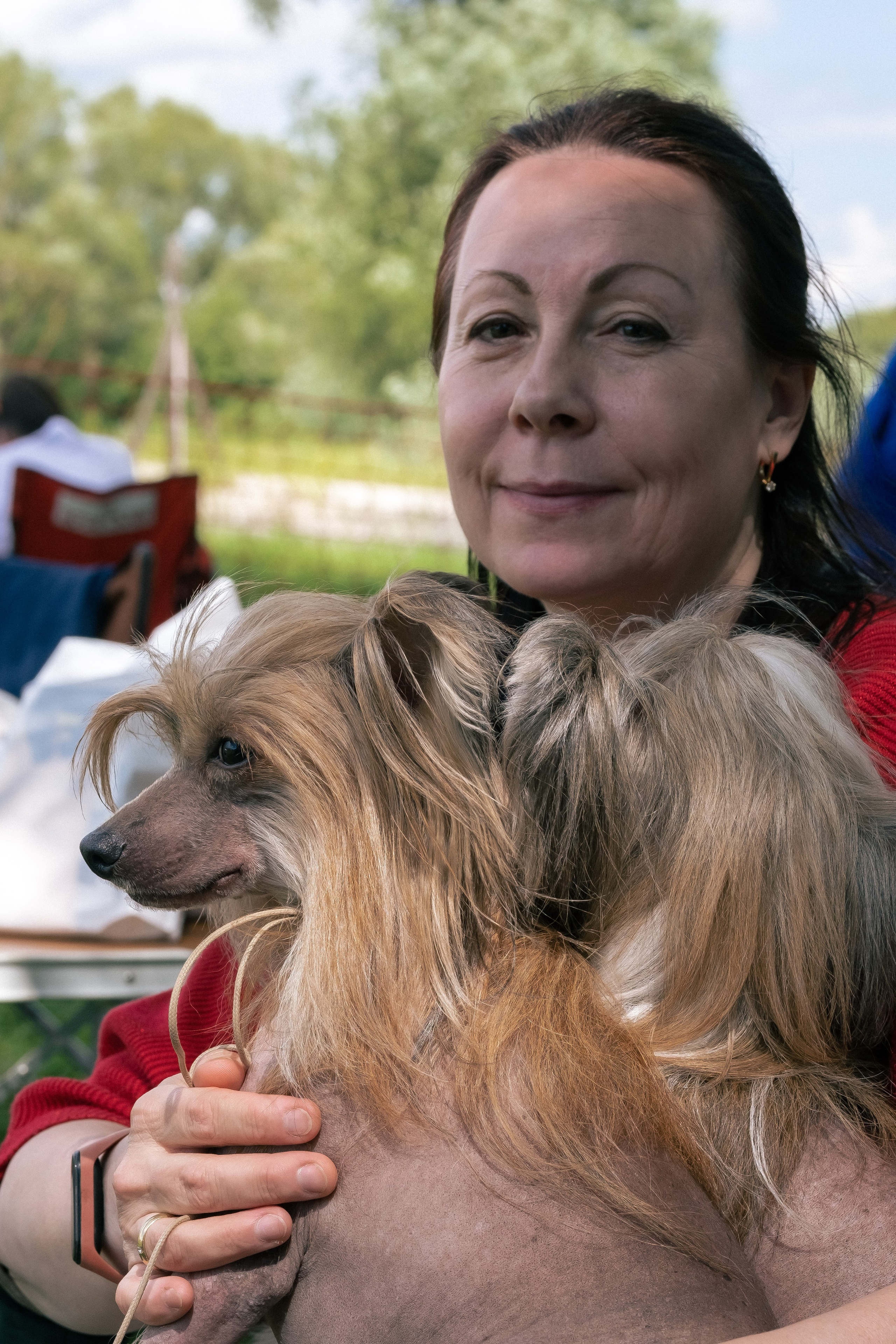 Poale Ell Cooper. Chinese Crested Dog Kennel Poale Ell