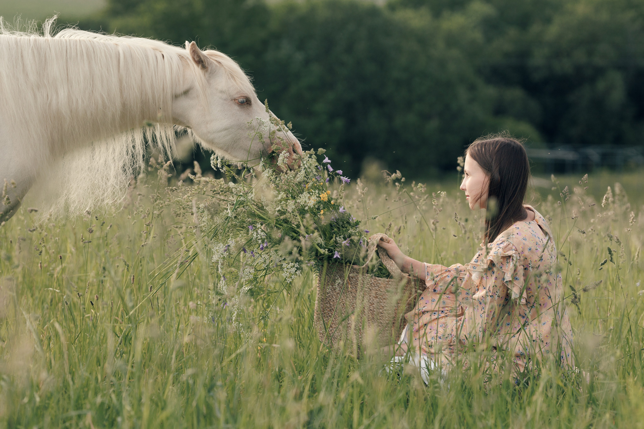 фотосессия с белой пони