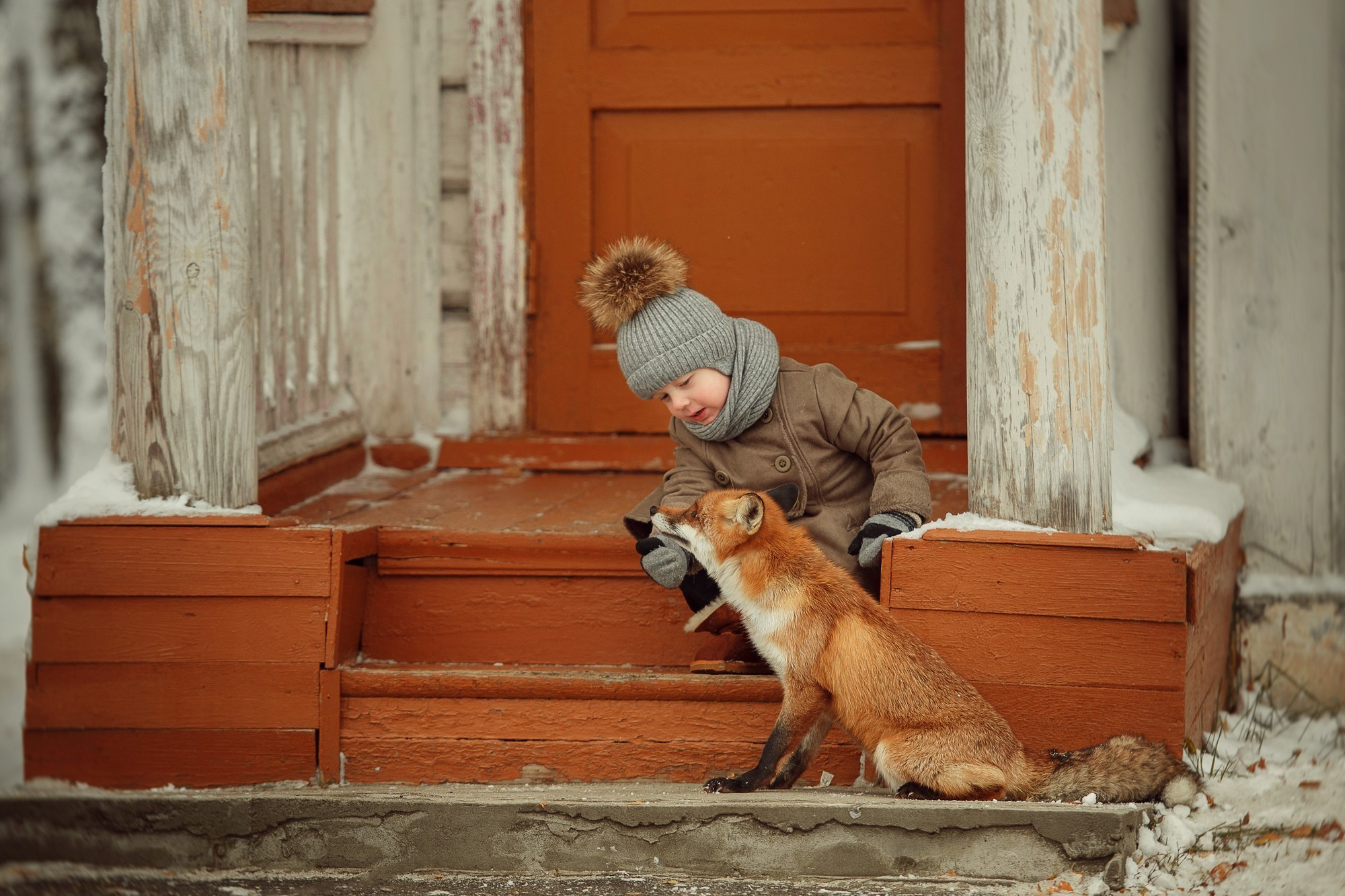 Зимние съемки с животными. Детский и семейный фотограф Склярова Екатерина