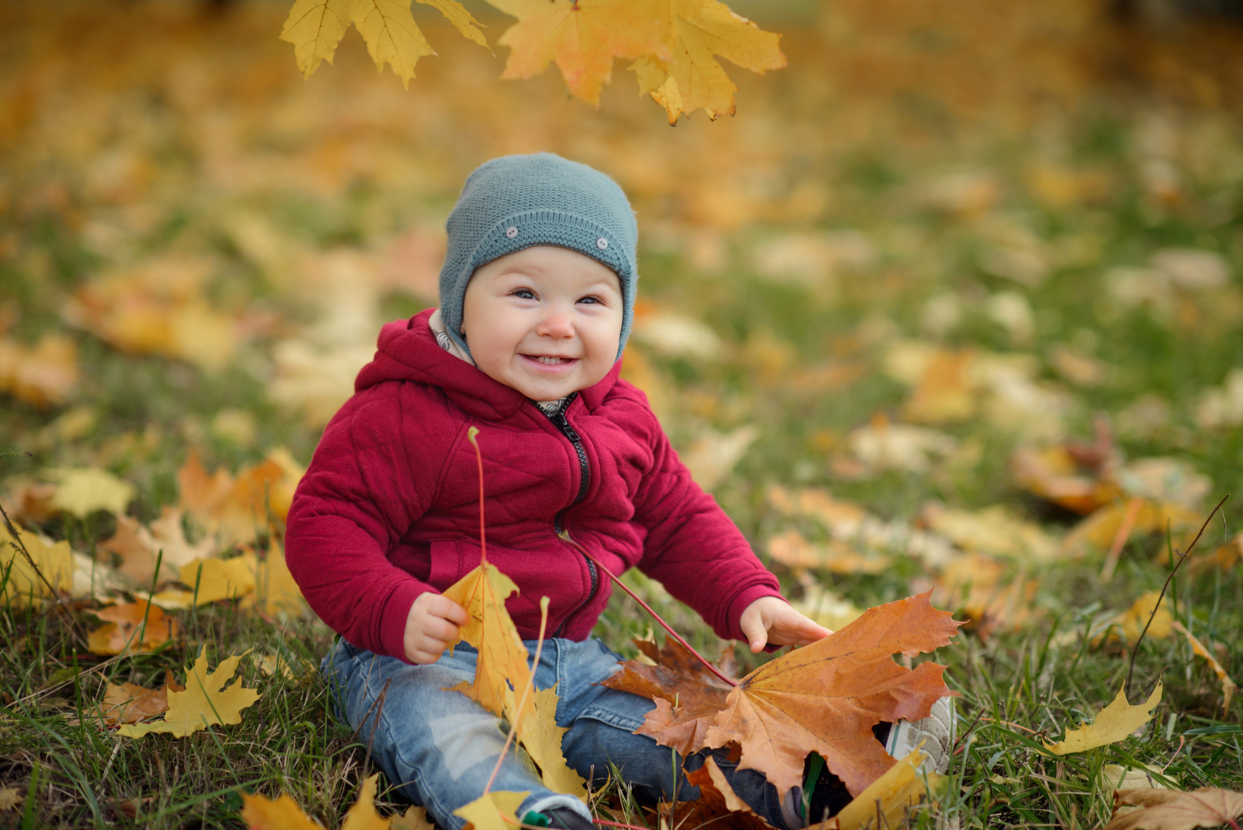 little child Photo shoot in autumn. Photos with yellow leaves
