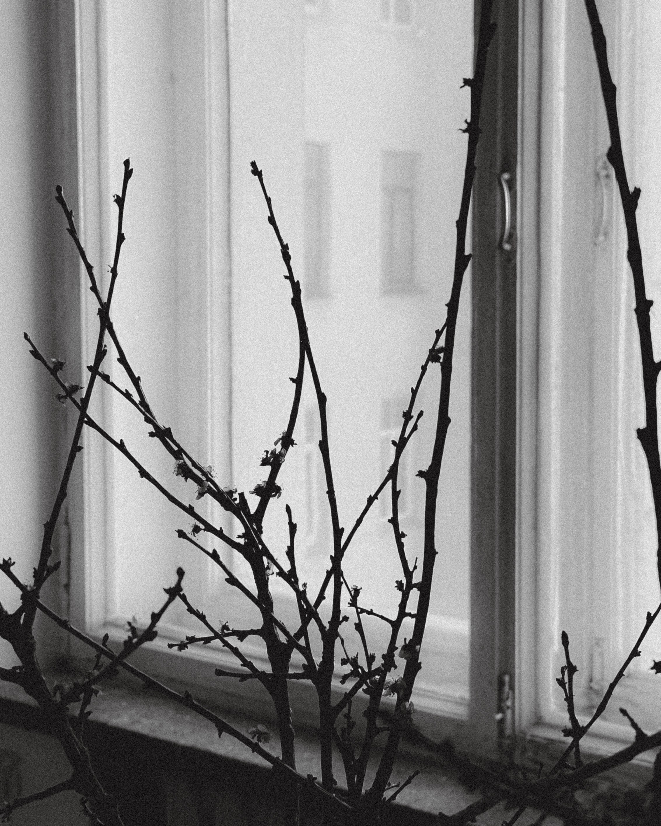 Портретный фотограф в Москве Настя Балыкина