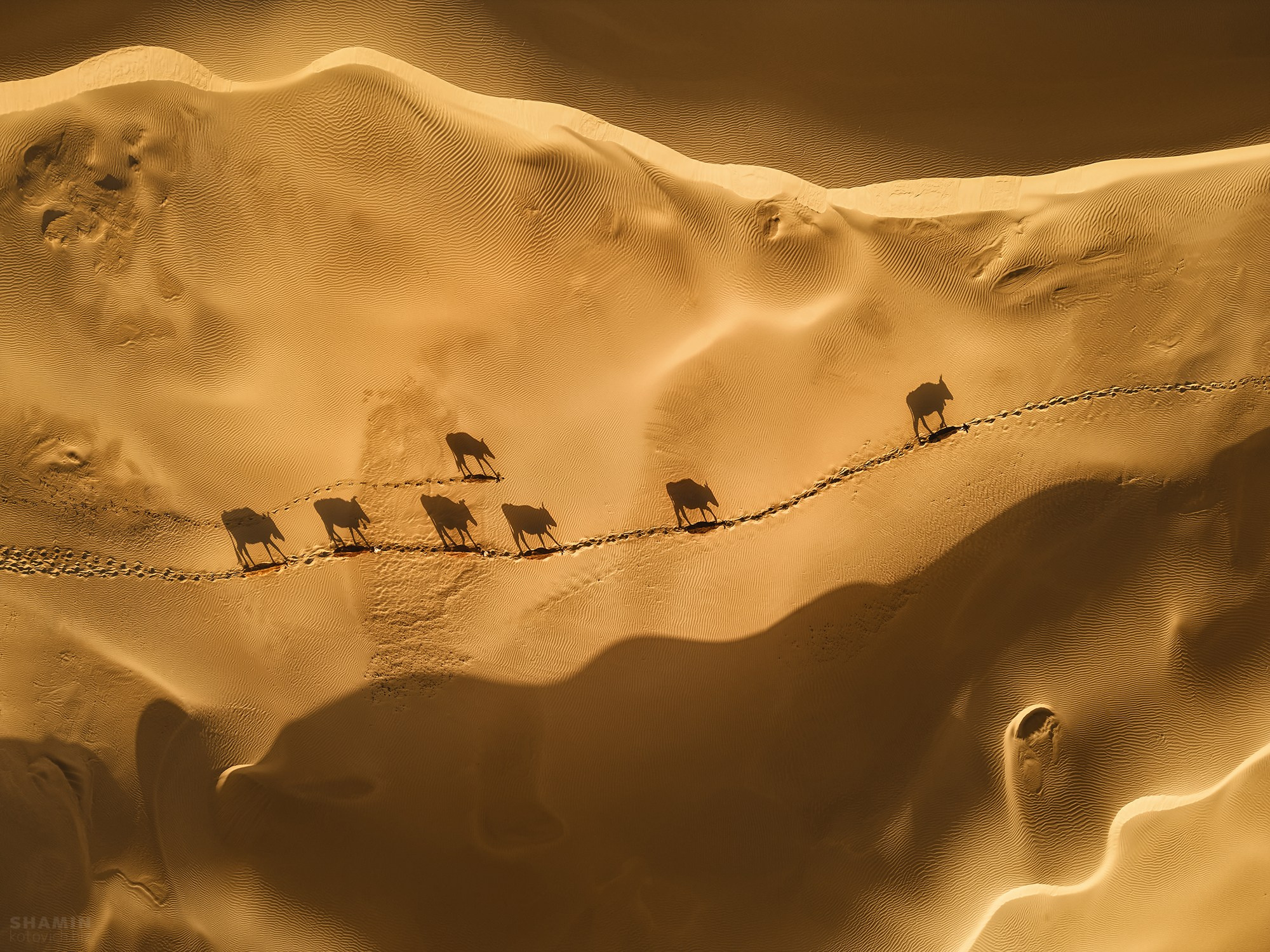 Аэросъёмка пейзажей с дрона — вид с высоты на природу, свет и пространство, запечатлённые в разное время суток.