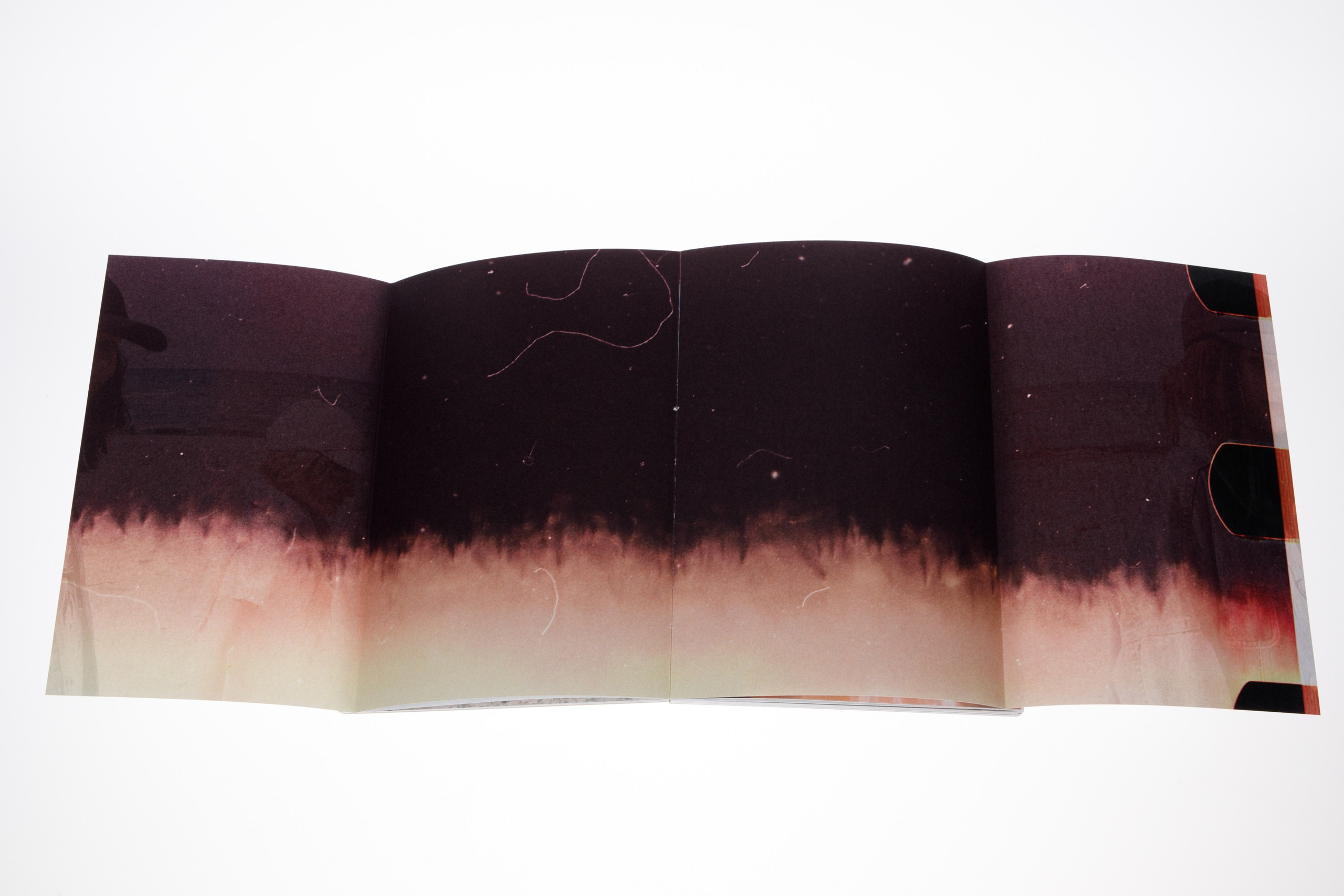 Przepraszam/Sorry. Photographer, Documentary and Art