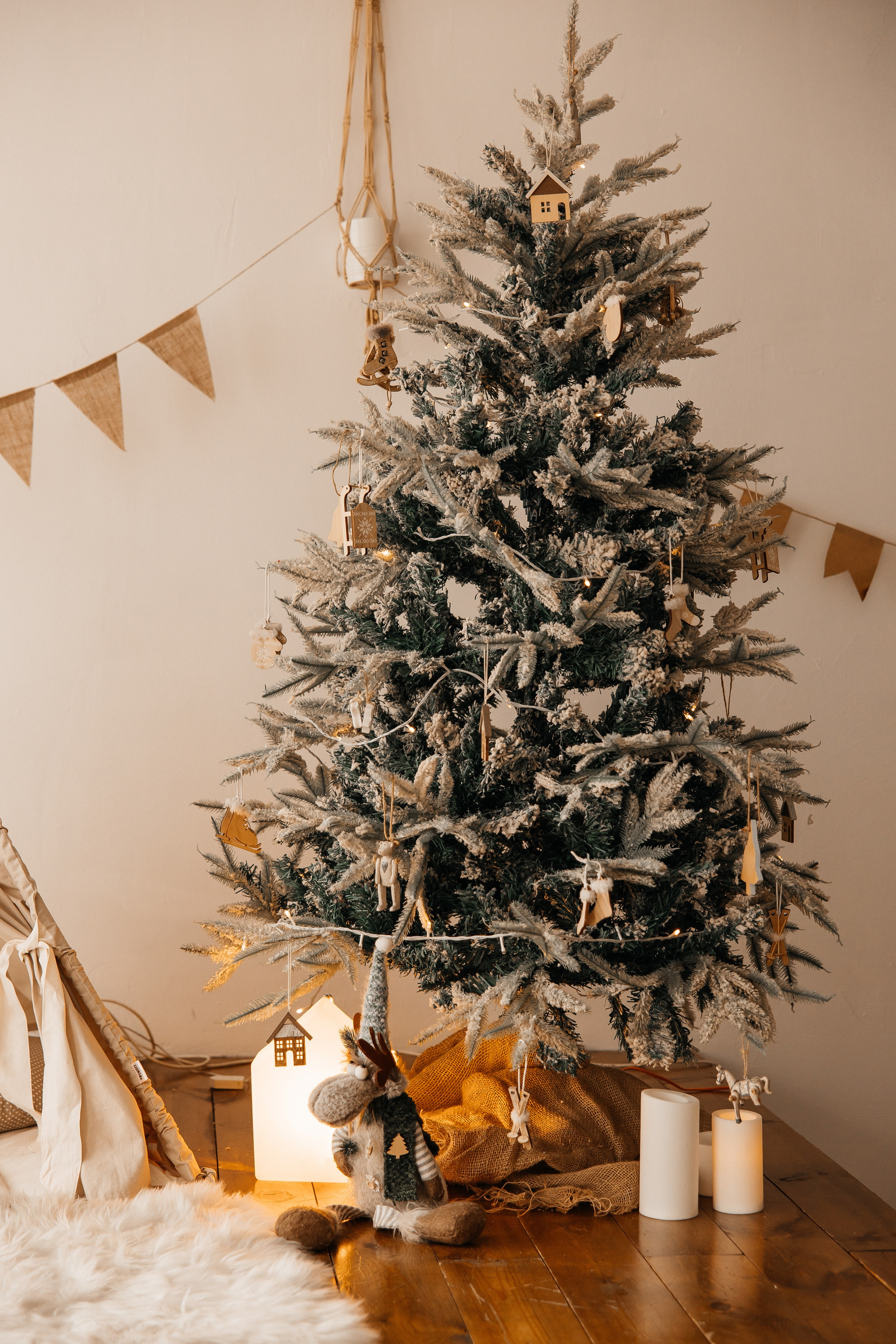 Лотос. Фотостудия 220 — первая в Чите фотостудия, предназначенная для работы