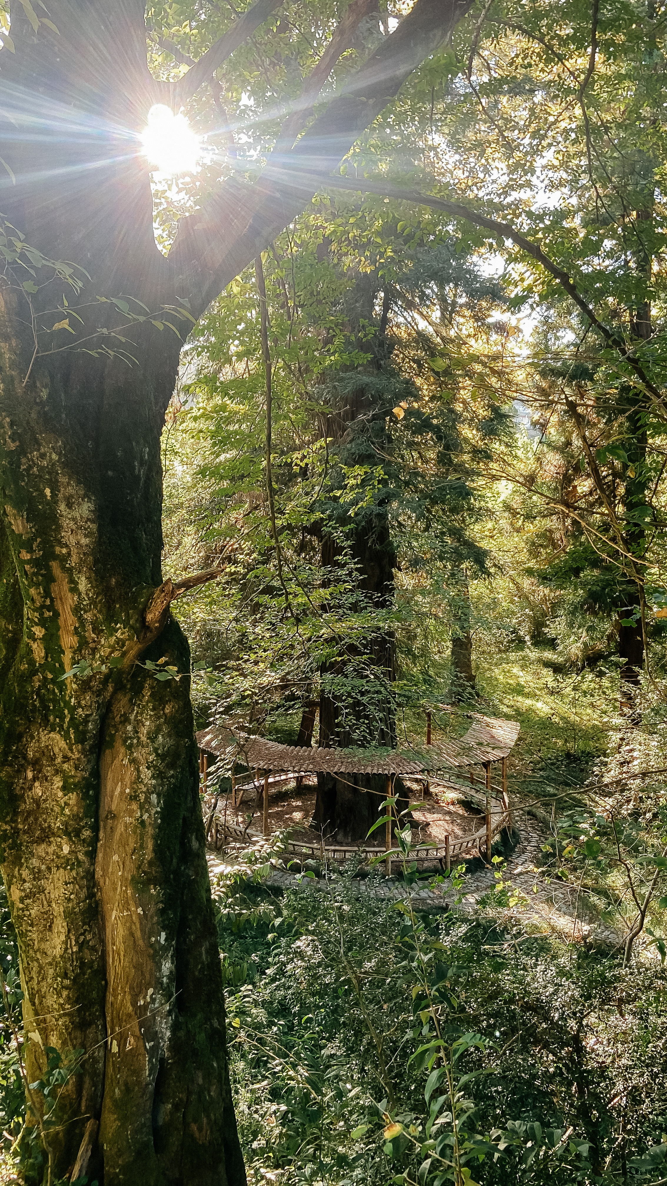 Авторский Тур по Грузии 26.04 — 02.05. Свадебный Фотограф Илья Чепайкин. Калининград