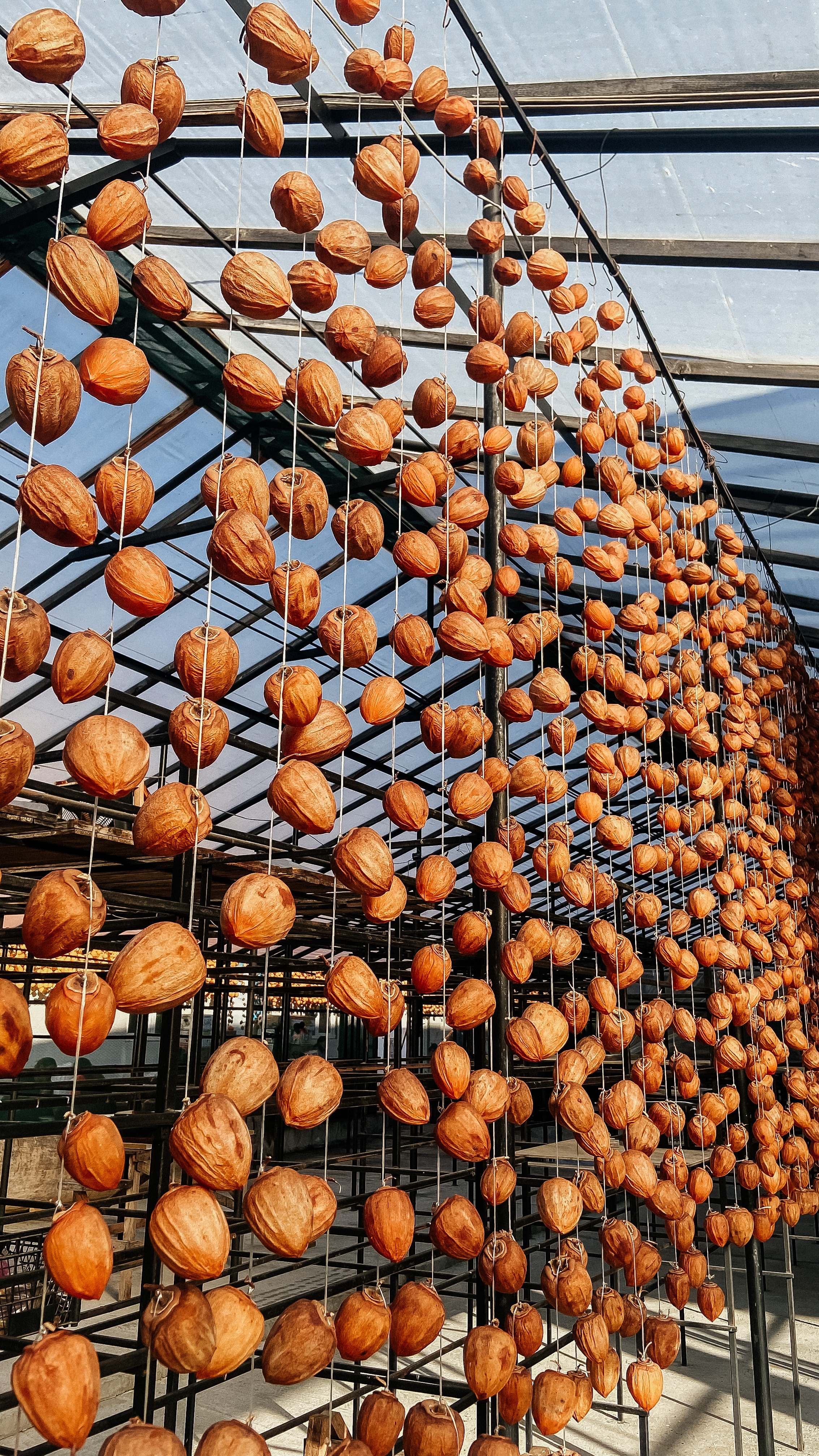 Авторский Тур по Грузии 26.04 — 02.05. Свадебный Фотограф Илья Чепайкин. Калининград