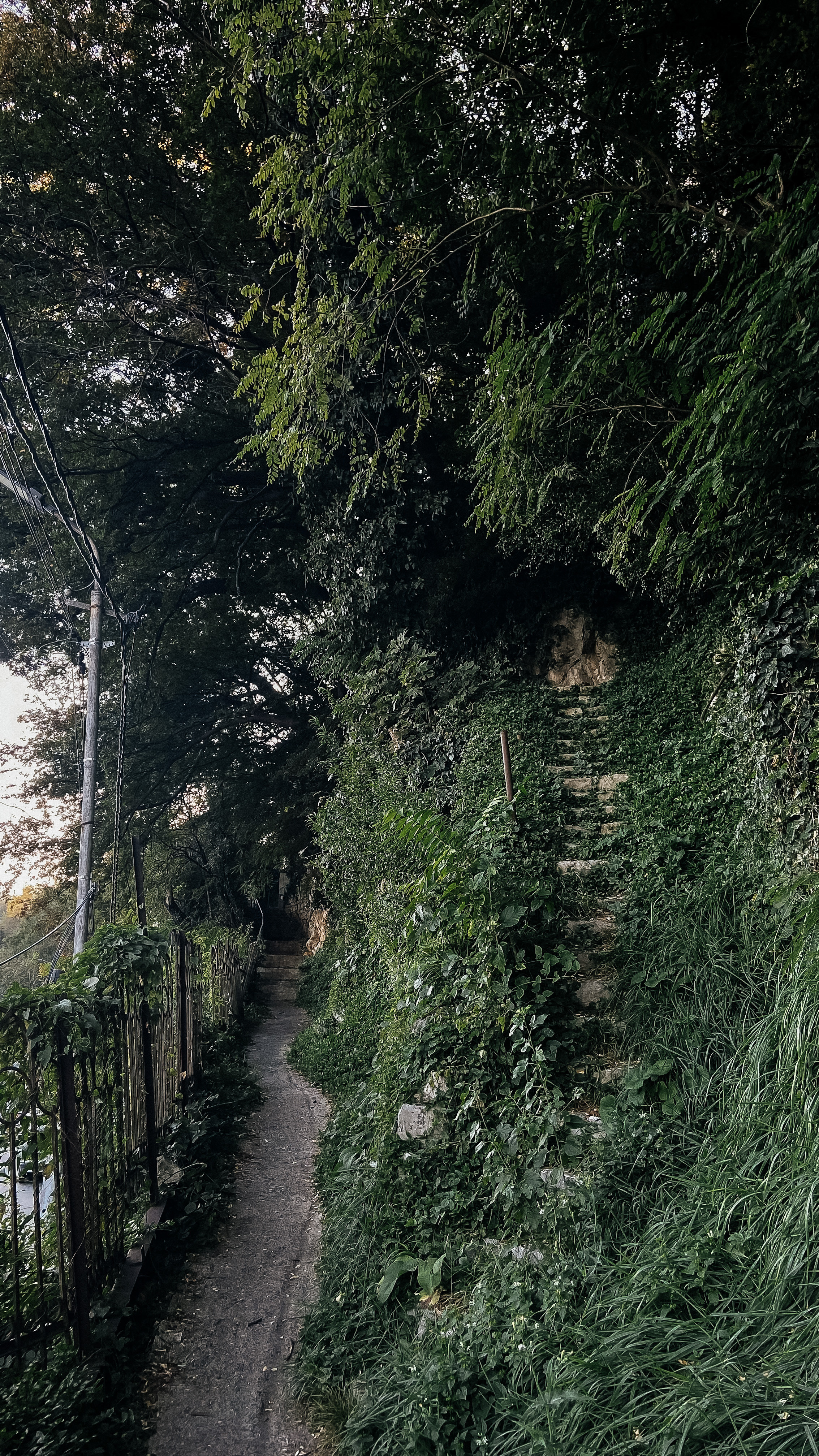 Авторский Тур по Грузии 26.04 — 02.05. Свадебный Фотограф Илья Чепайкин. Калининград