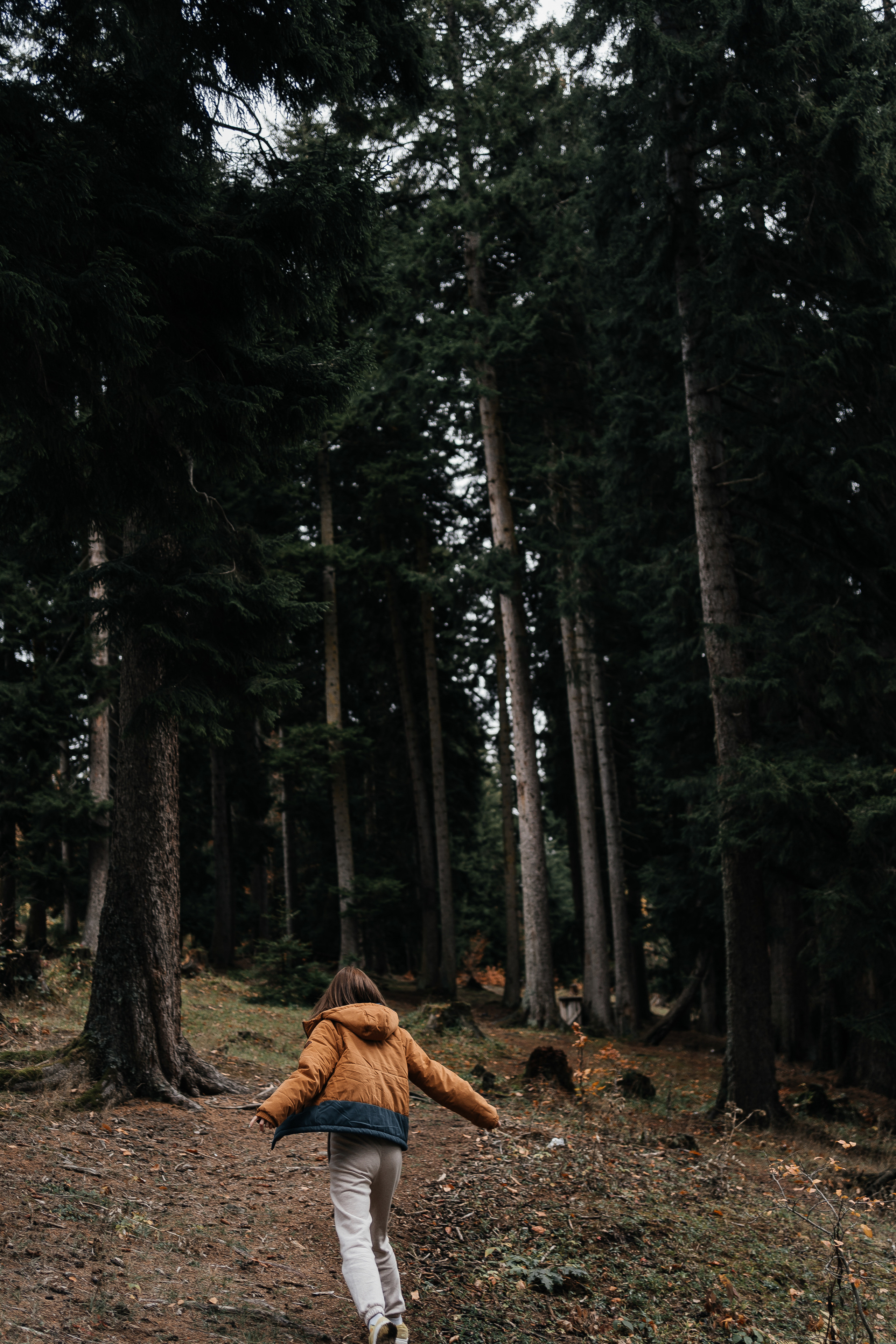 Авторский Тур по Грузии 26.04 — 02.05. Свадебный Фотограф Илья Чепайкин. Калининград