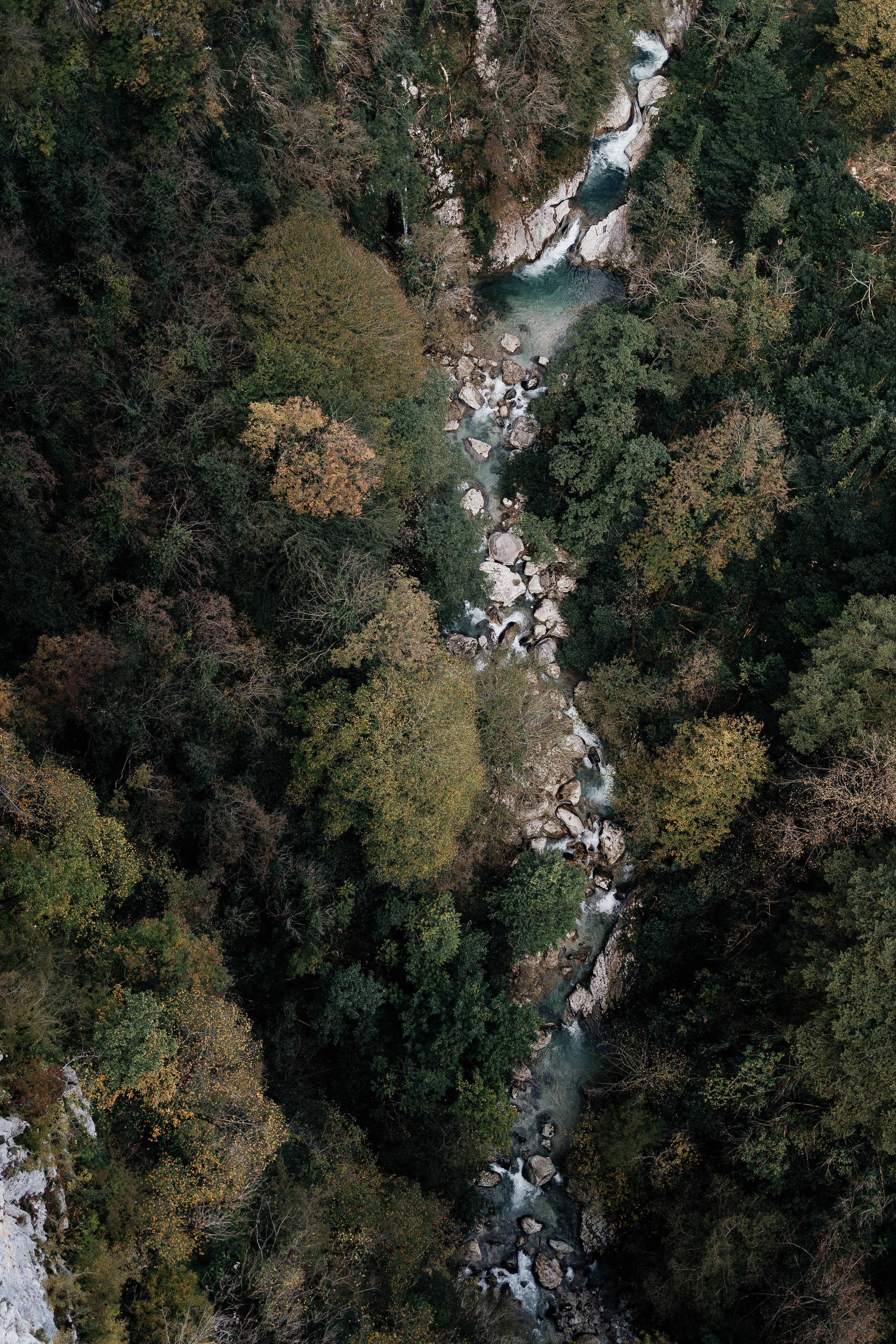 Авторский Тур по Грузии 26.04 — 02.05. Свадебный Фотограф Илья Чепайкин. Калининград