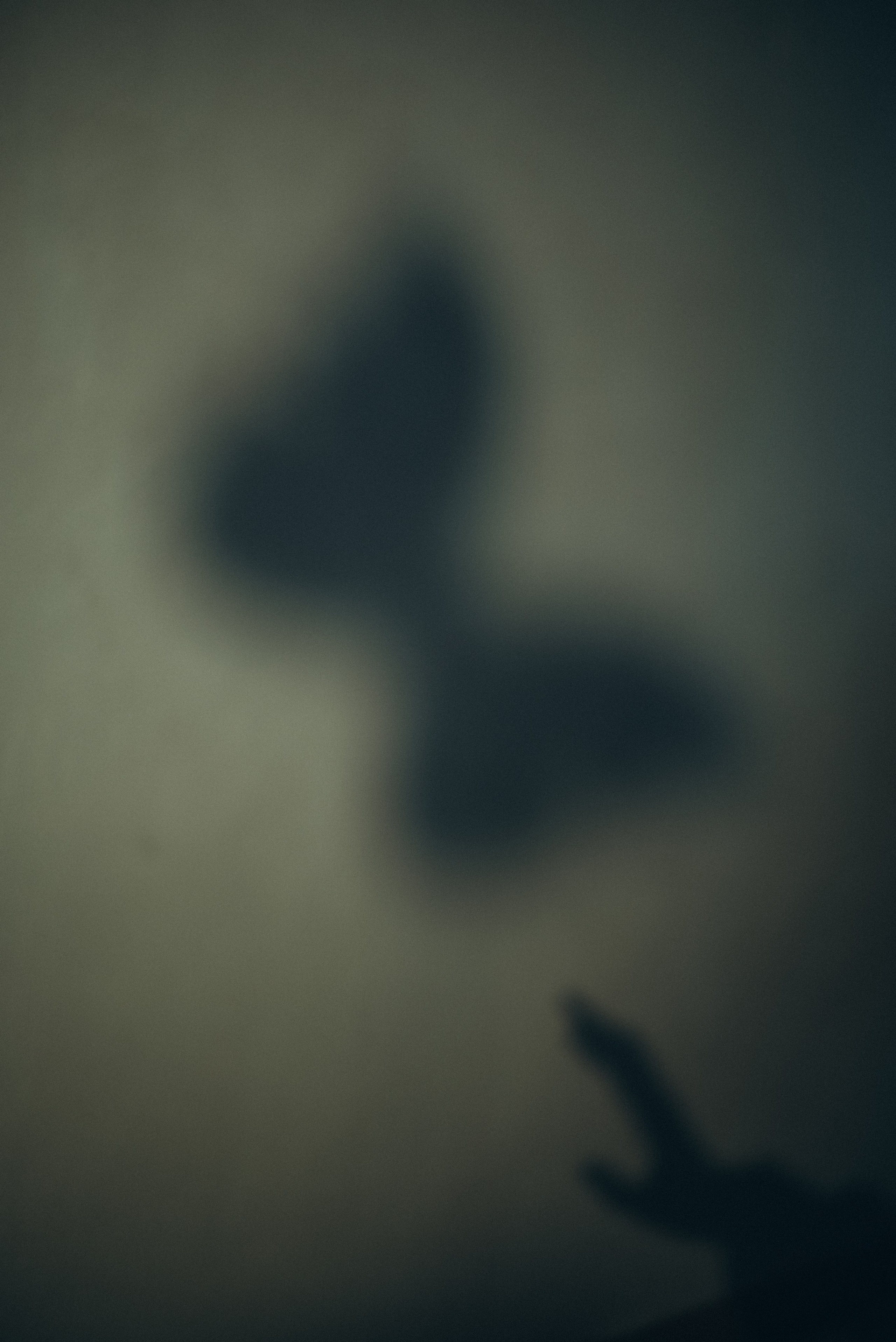 Волшебство внутри тебя. Фотограф Катерина Тюрина. Саратов