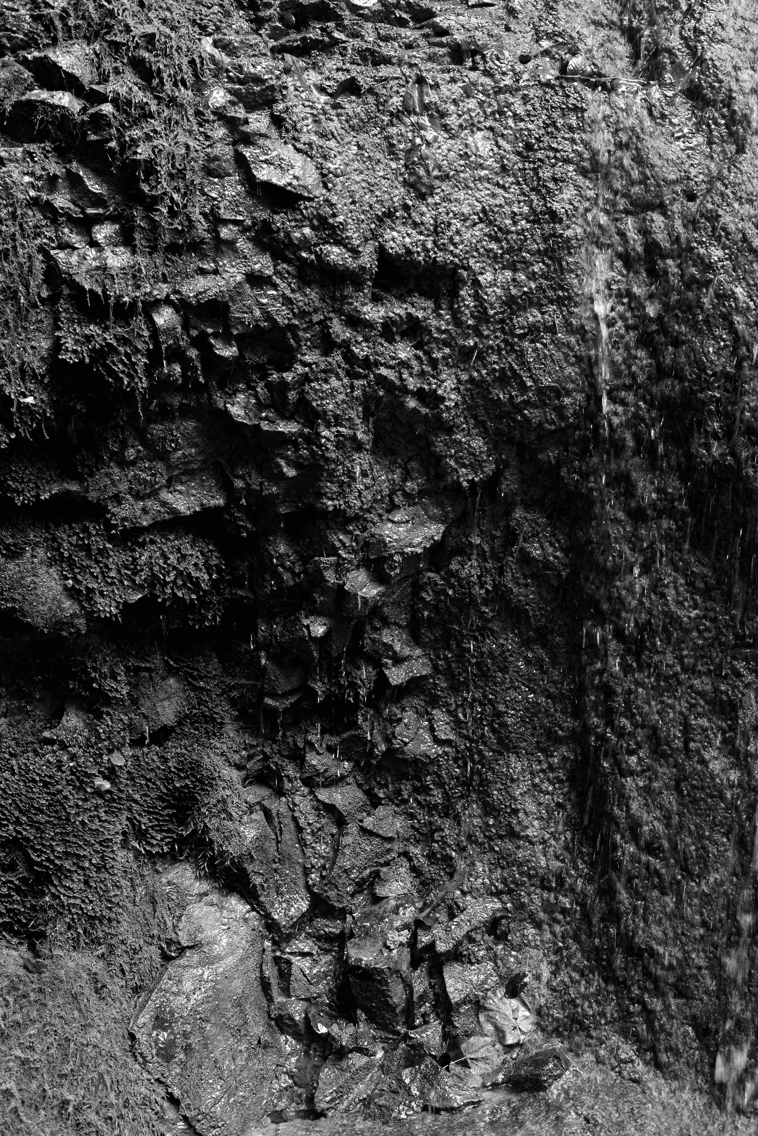 Затмение. Катерина Эделева