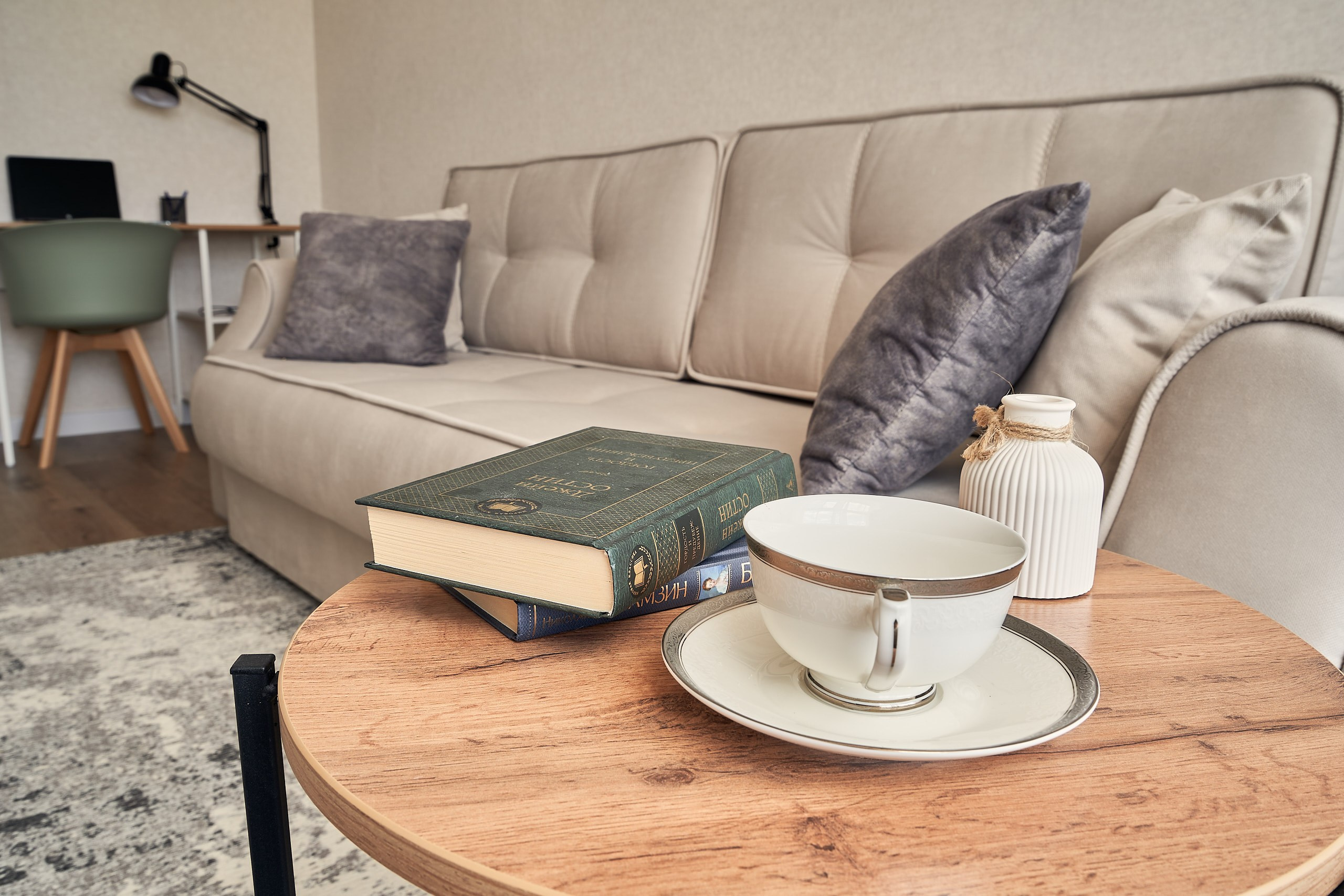 Интерьерное фото комнаты, ЖК Новая Рига, детальный план, диван и кофейный столик с чашкой и книгой