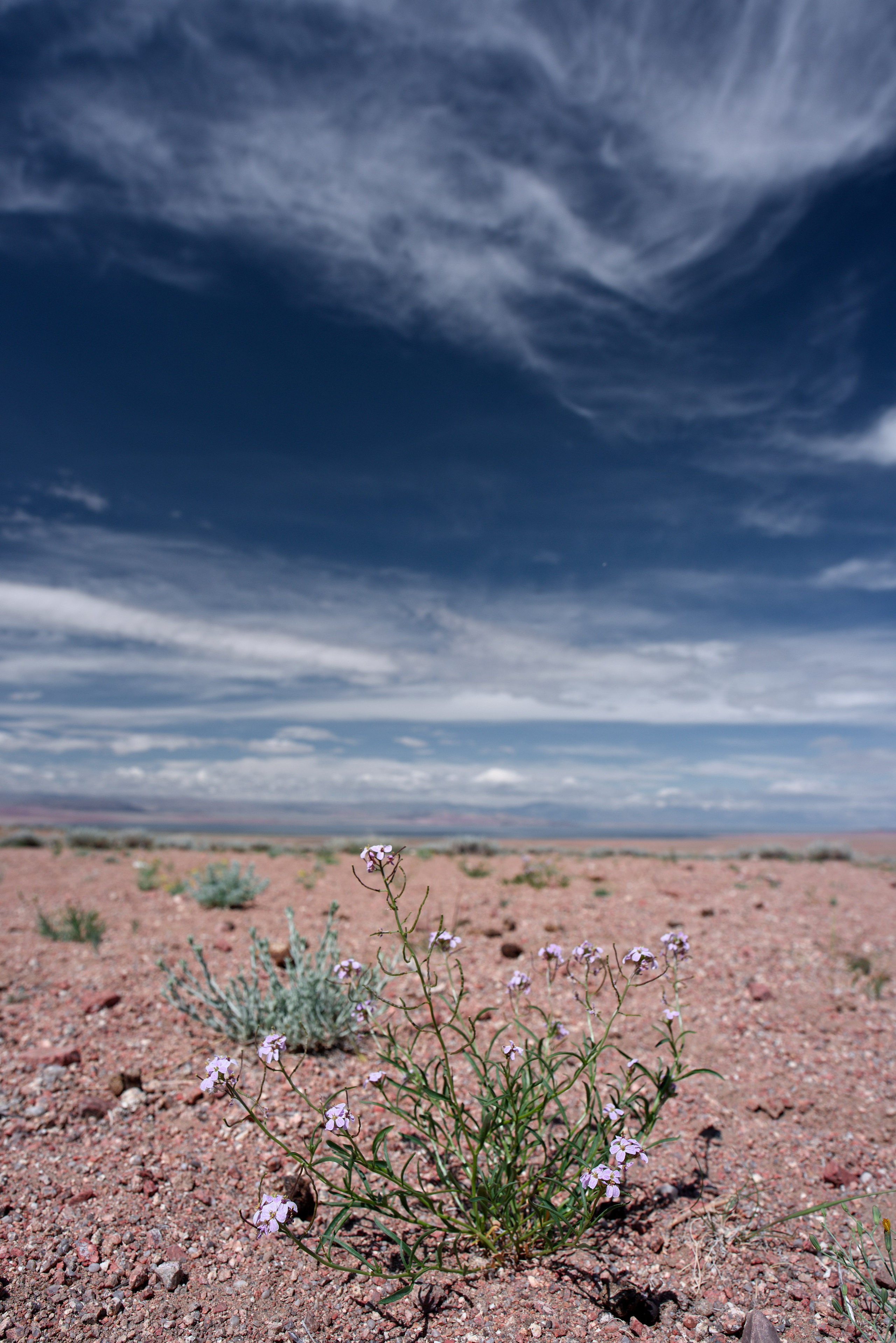 Экспедиция в Монголию (котловина больших озер). Семоха Валерий. Фотограф