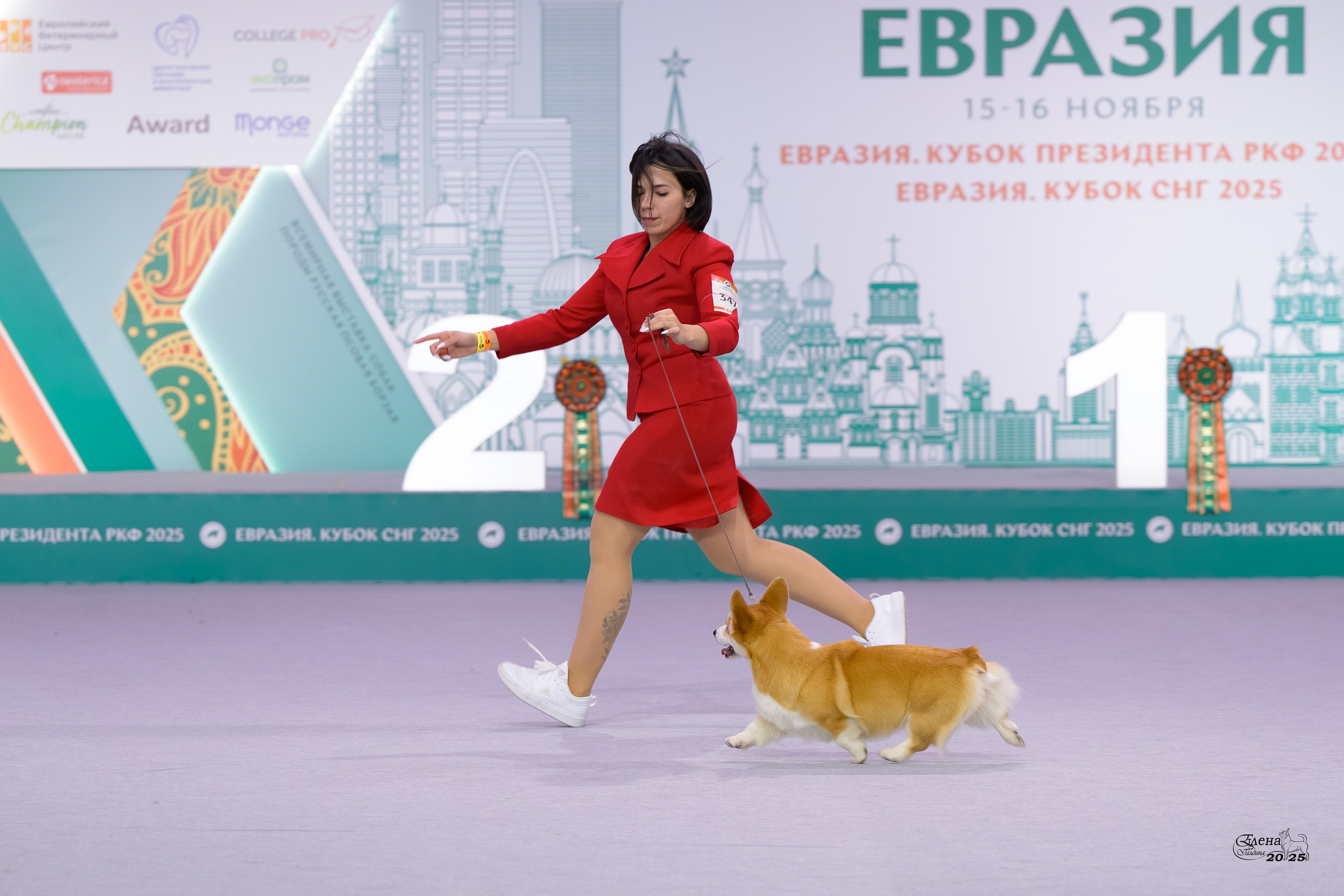 15-16.11.2025 ЕВРАЗИЯ г. Москва. Фотограф анималист Елена Галдина г. Красноярск