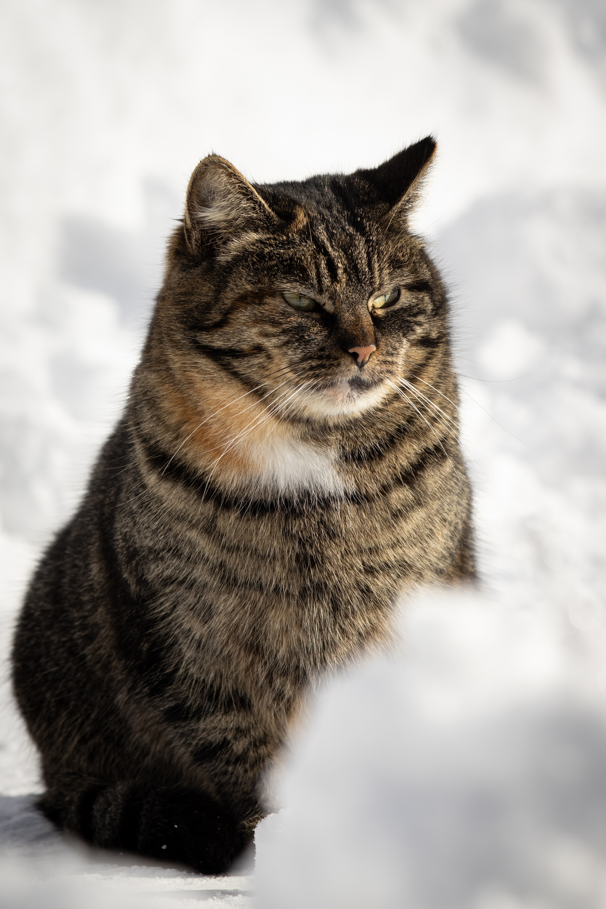 — Digital Noise —