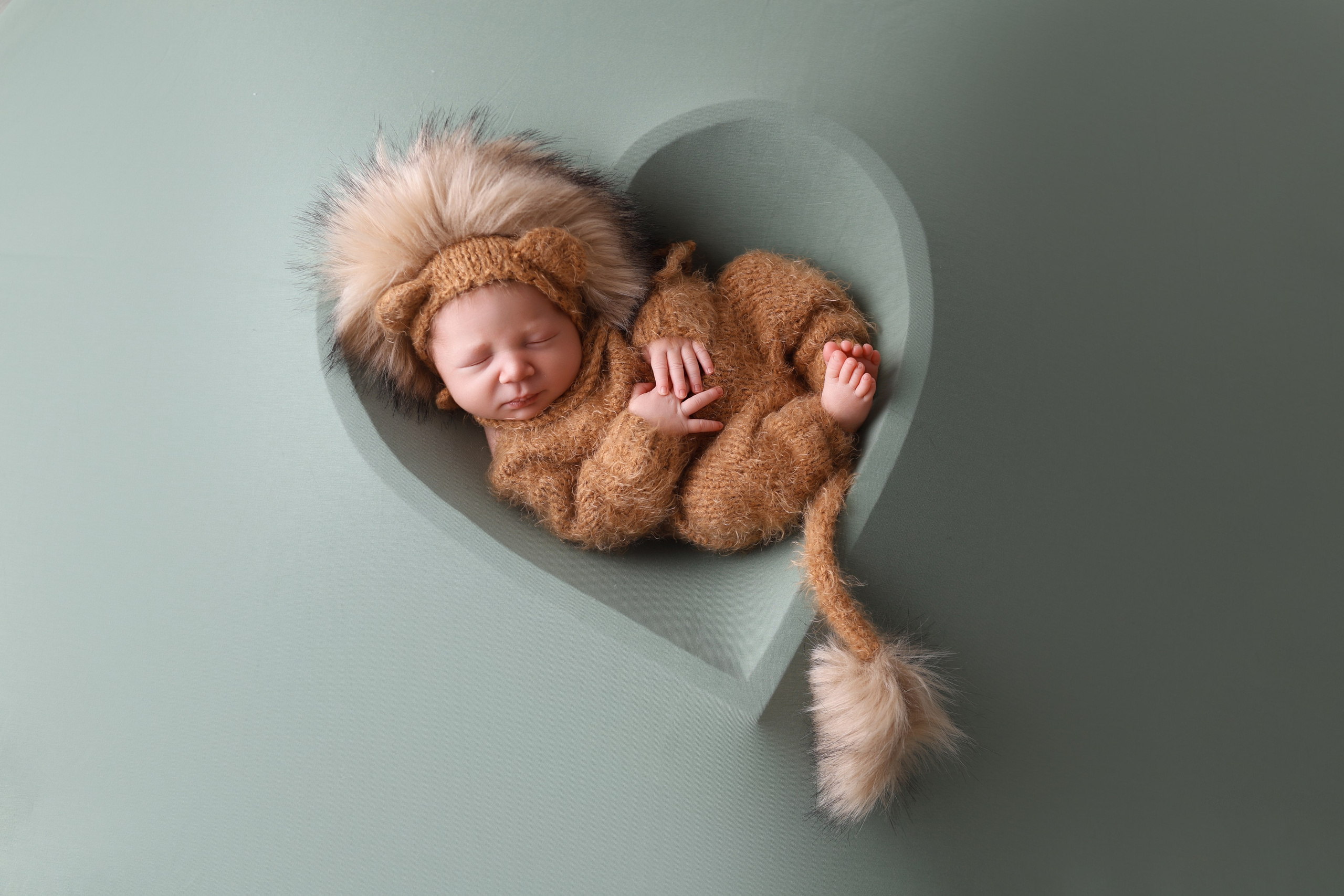 Новорожденные. Нина Зеленева фотограф новорожденных