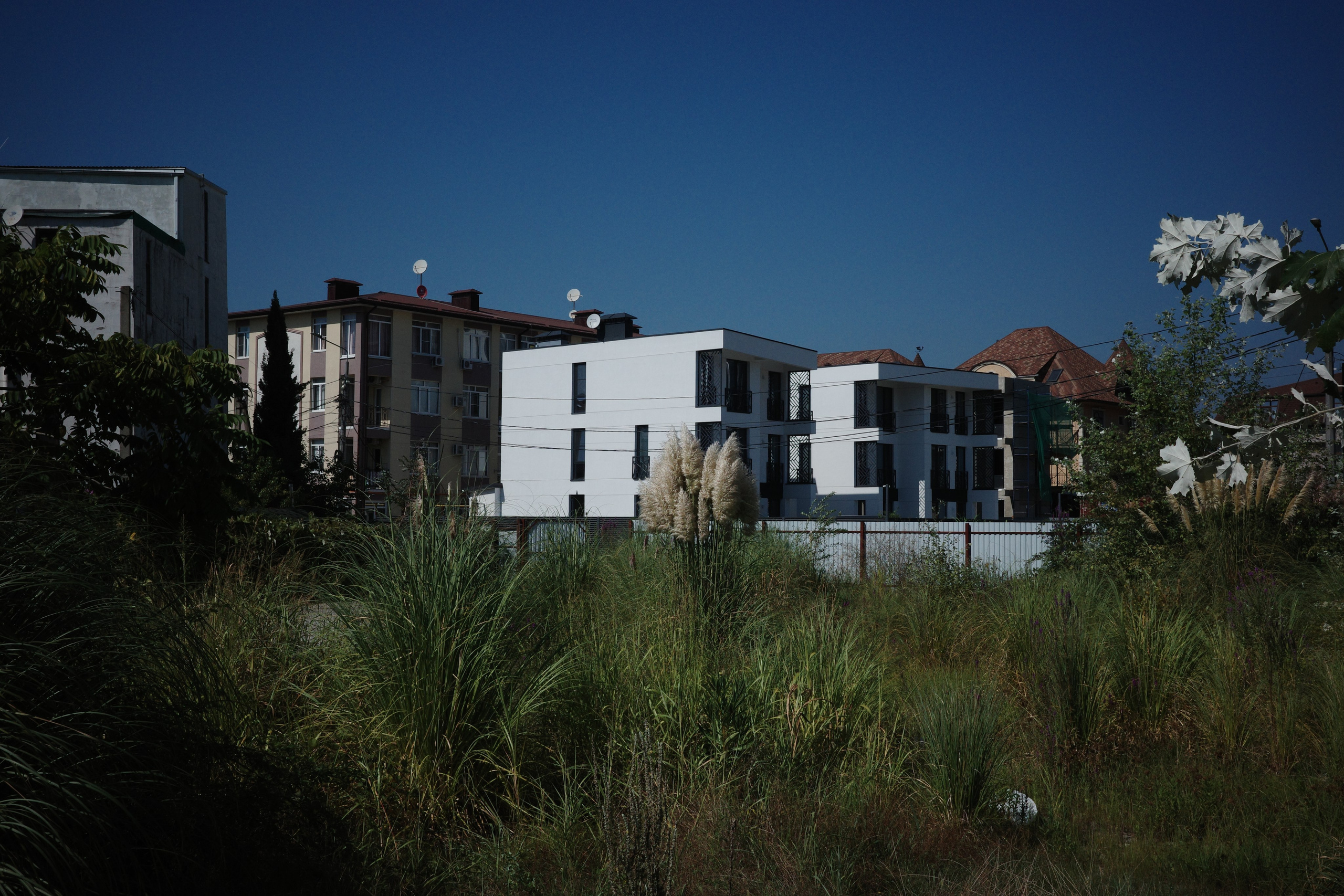 #41: Сочи / сентябрь 2025. Проект «Фотокладовка»: блог уличной фотографии в формате street photo