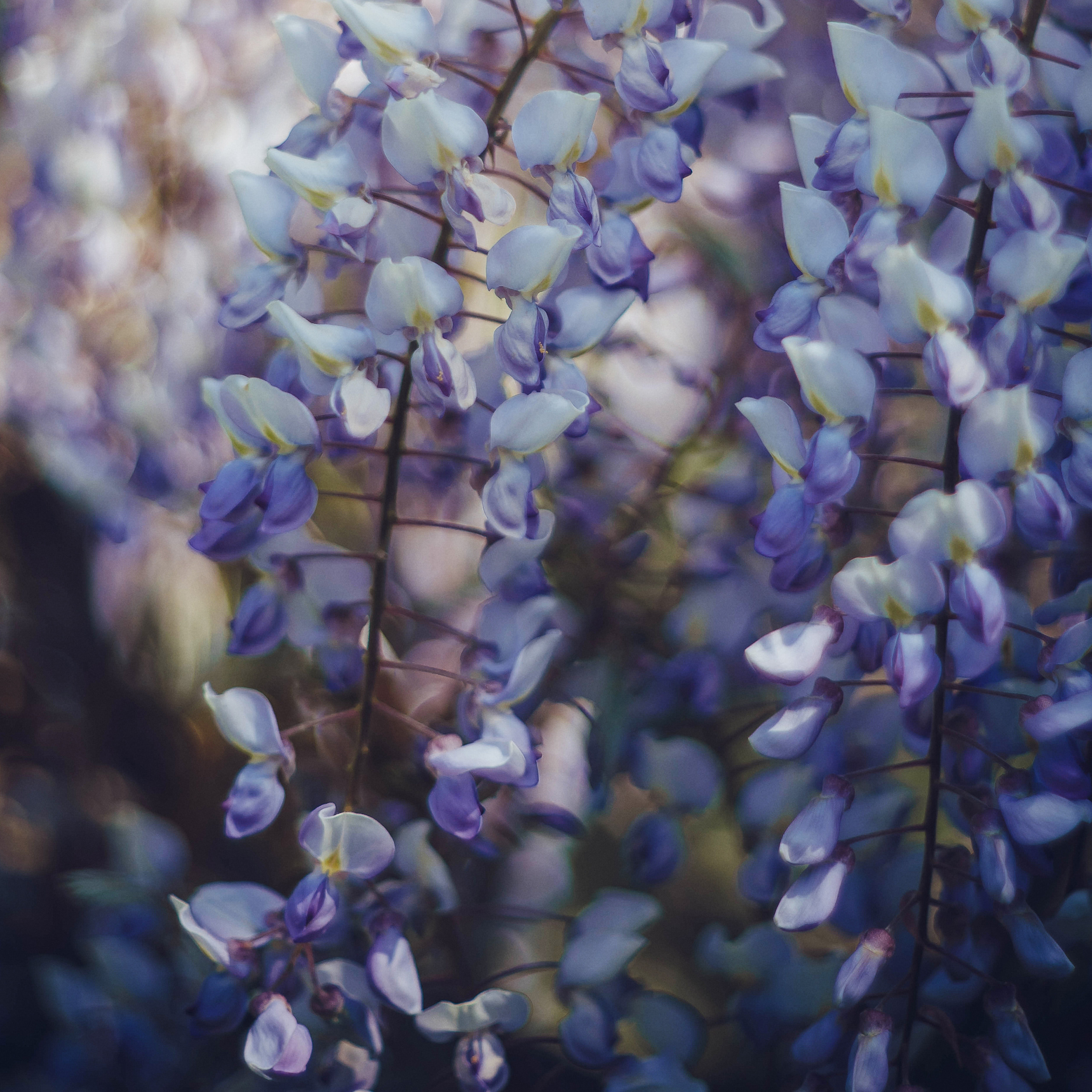 ART GALLERY. Фотограф Анна Гребенник