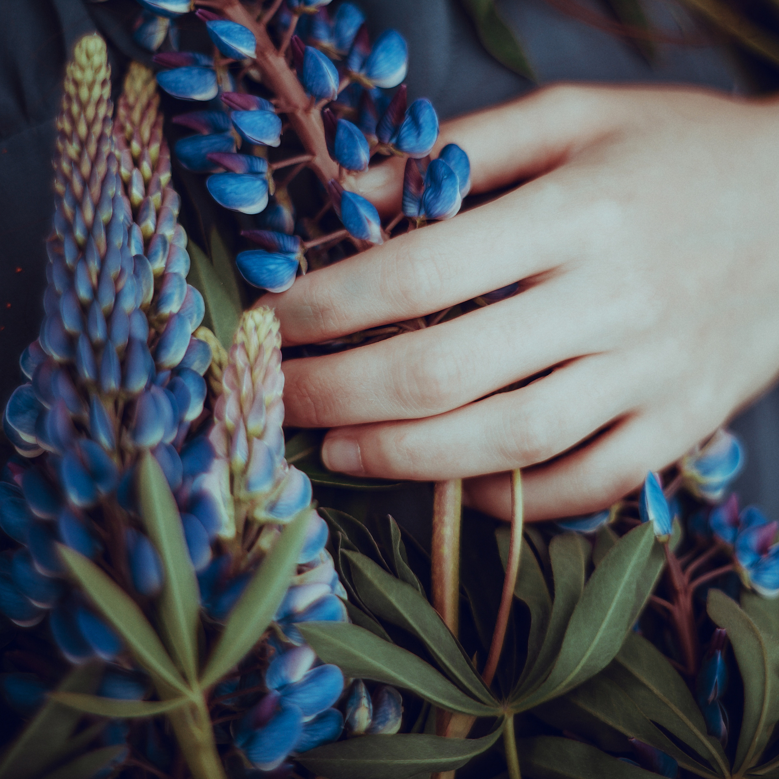 ART GALLERY. Фотограф Анна Гребенник