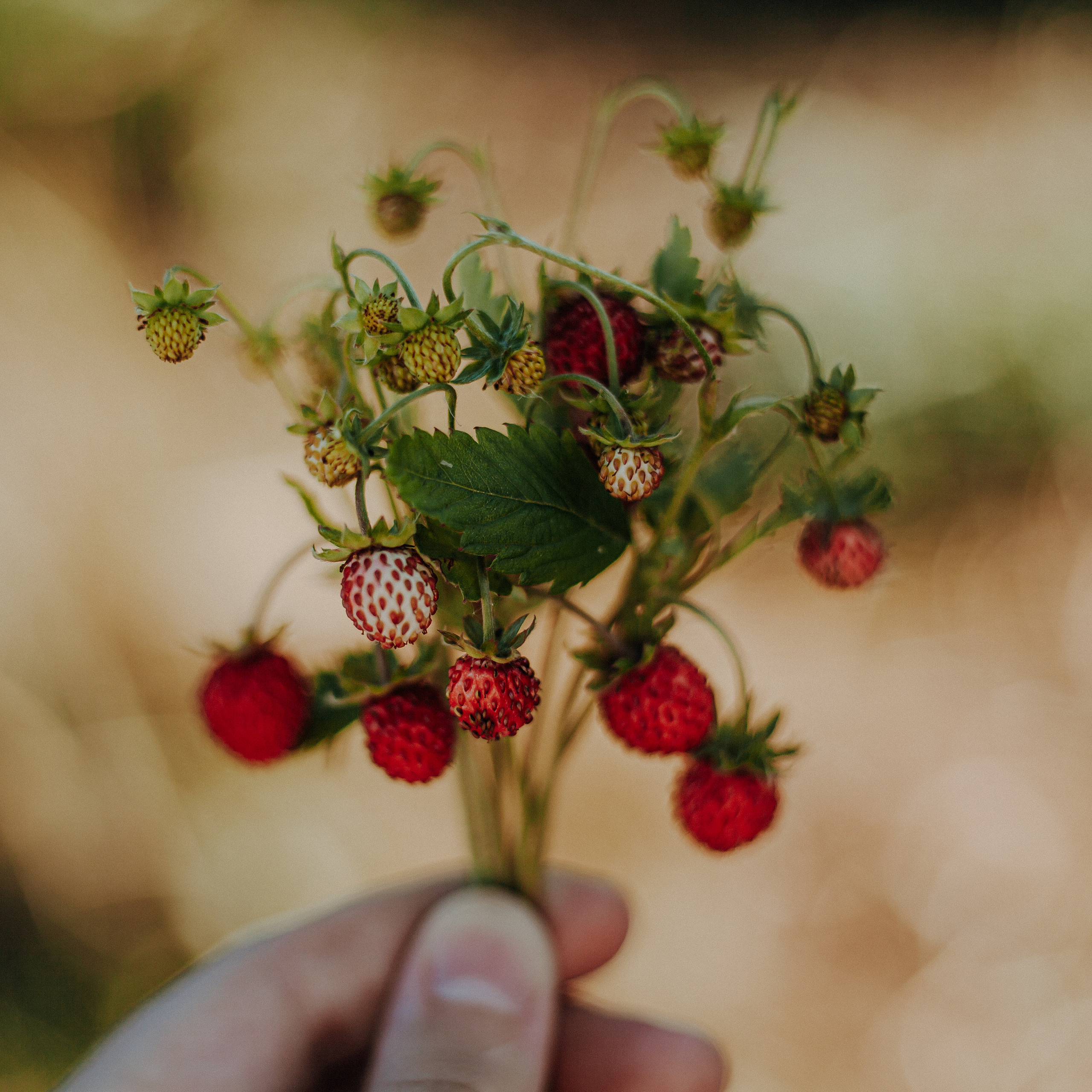 ART GALLERY. Фотограф Анна Гребенник