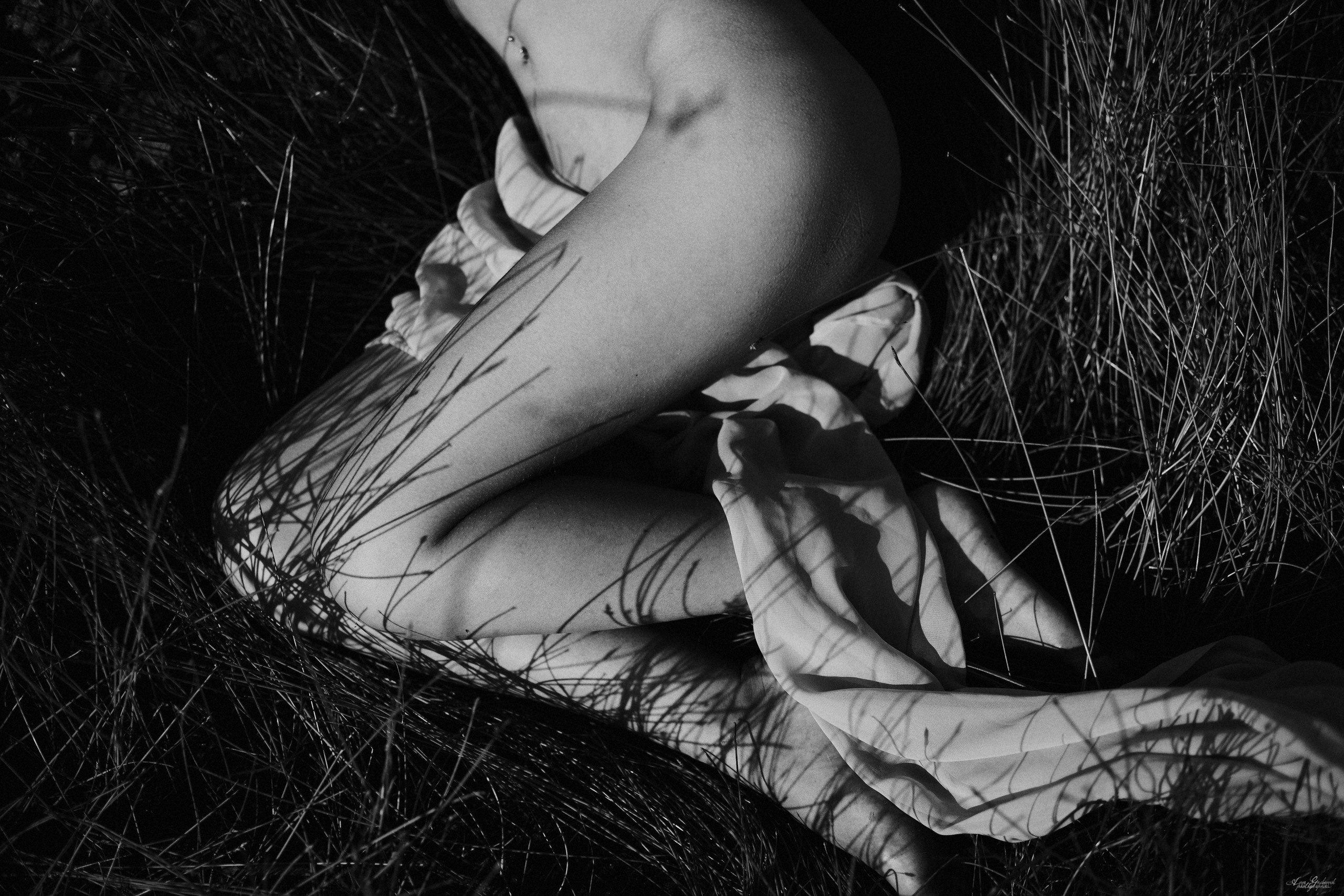 ARTISTIC NUDE. Фотограф Анна Гребенник