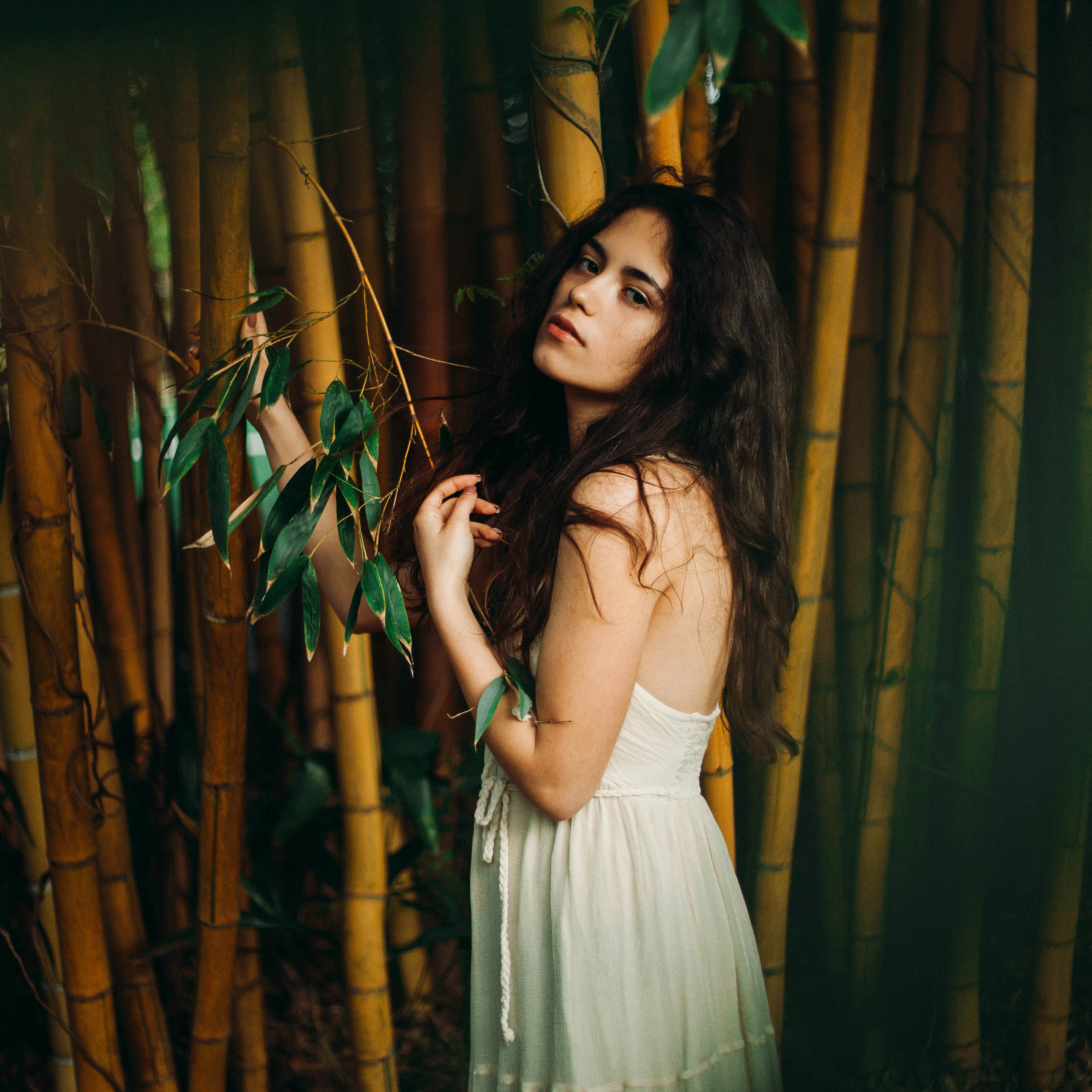 ART GALLERY. Фотограф Анна Гребенник