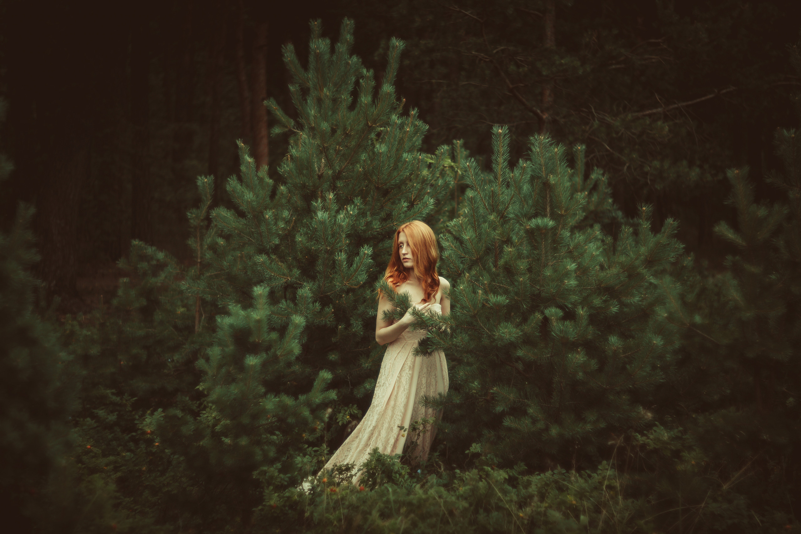 ART GALLERY. Фотограф Анна Гребенник