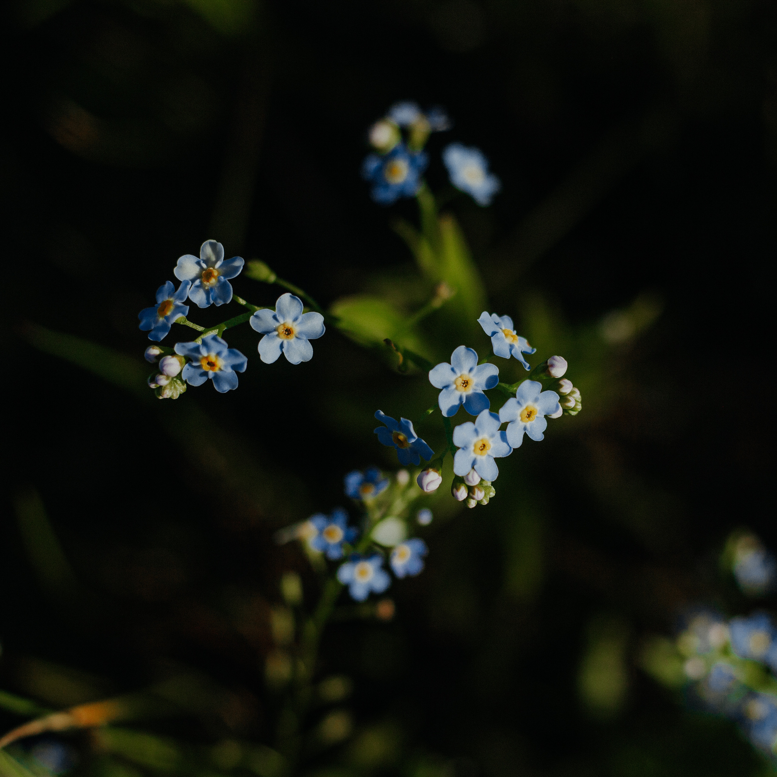 ART GALLERY. Фотограф Анна Гребенник