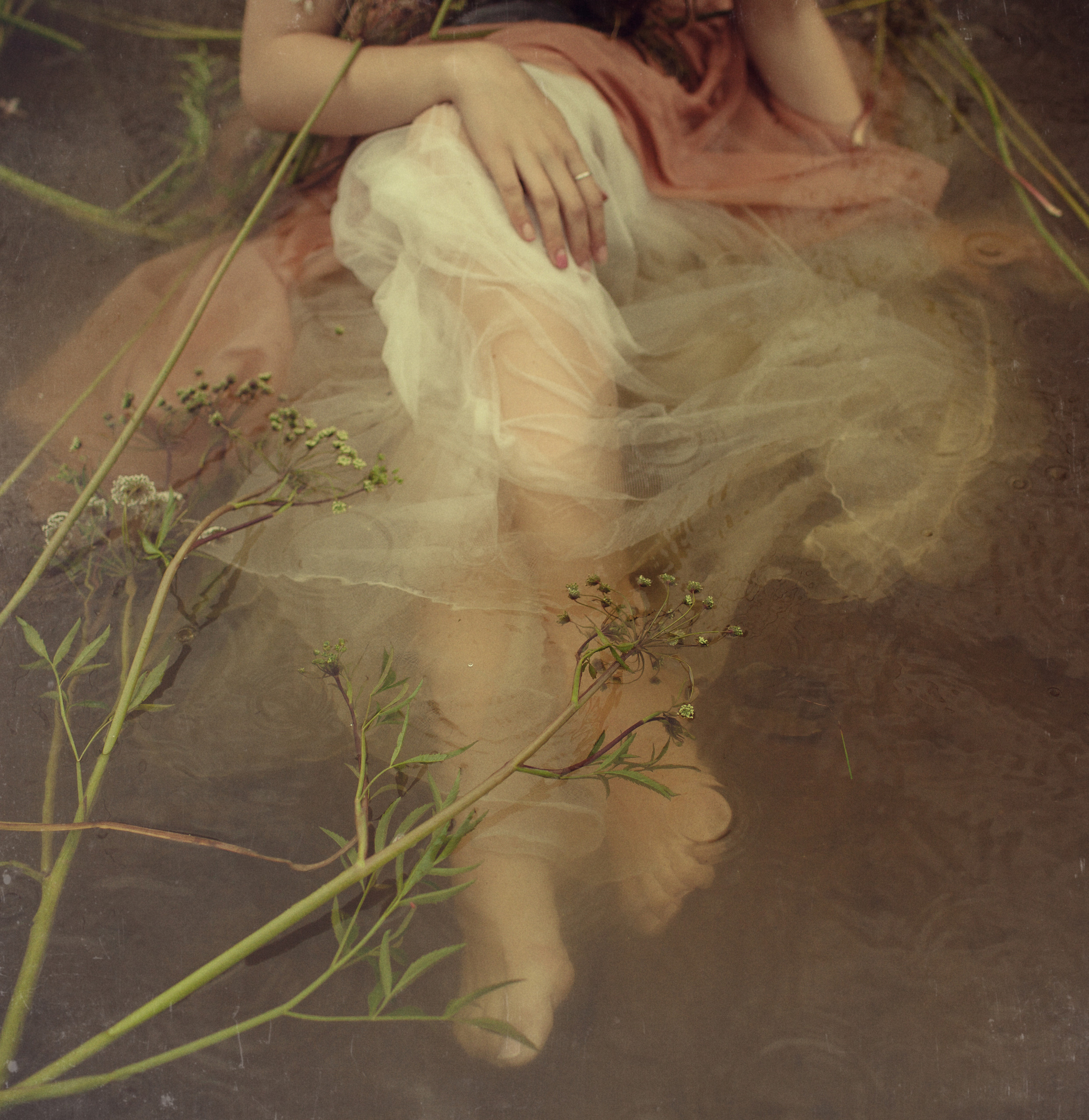 ART GALLERY. Фотограф Анна Гребенник