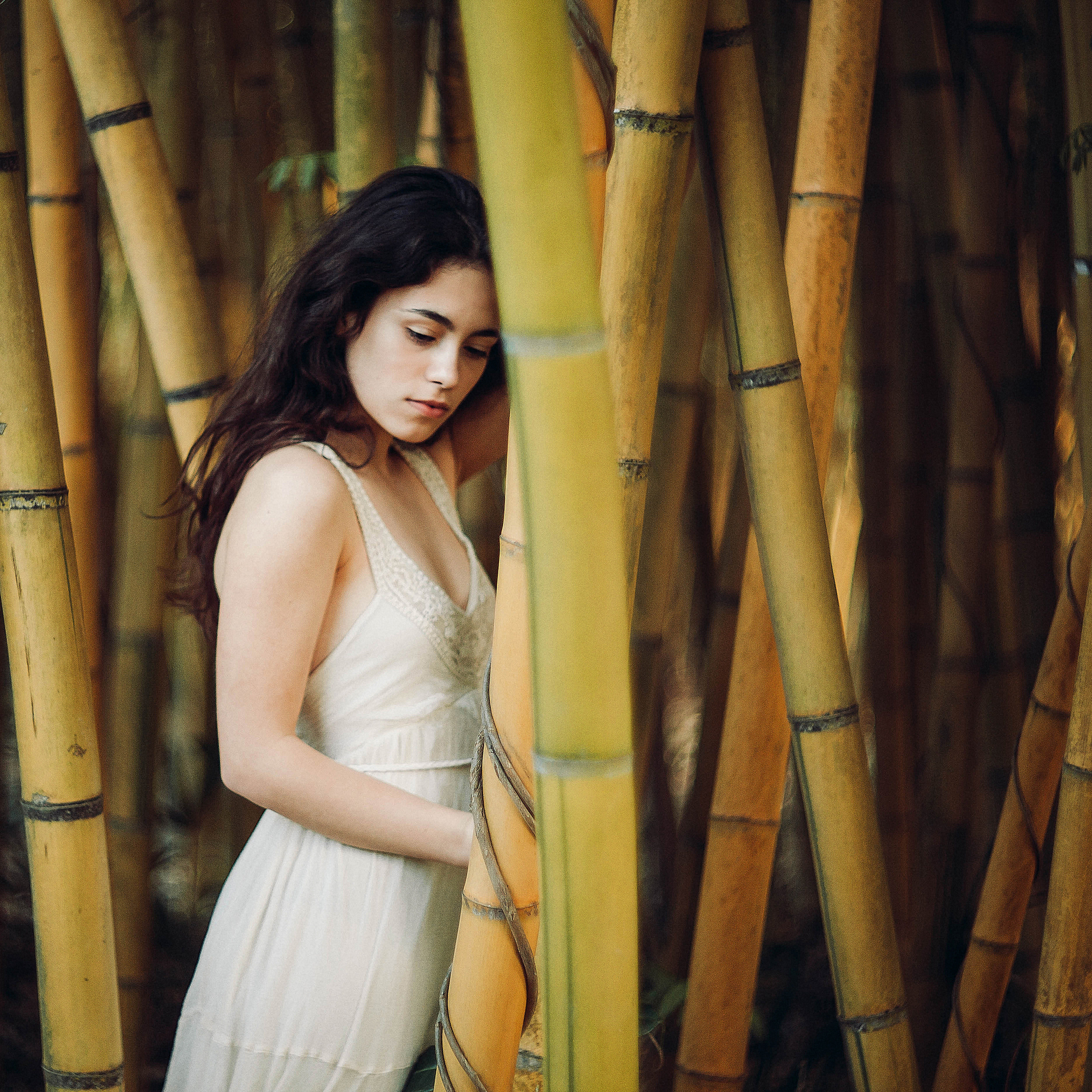 ART GALLERY. Фотограф Анна Гребенник