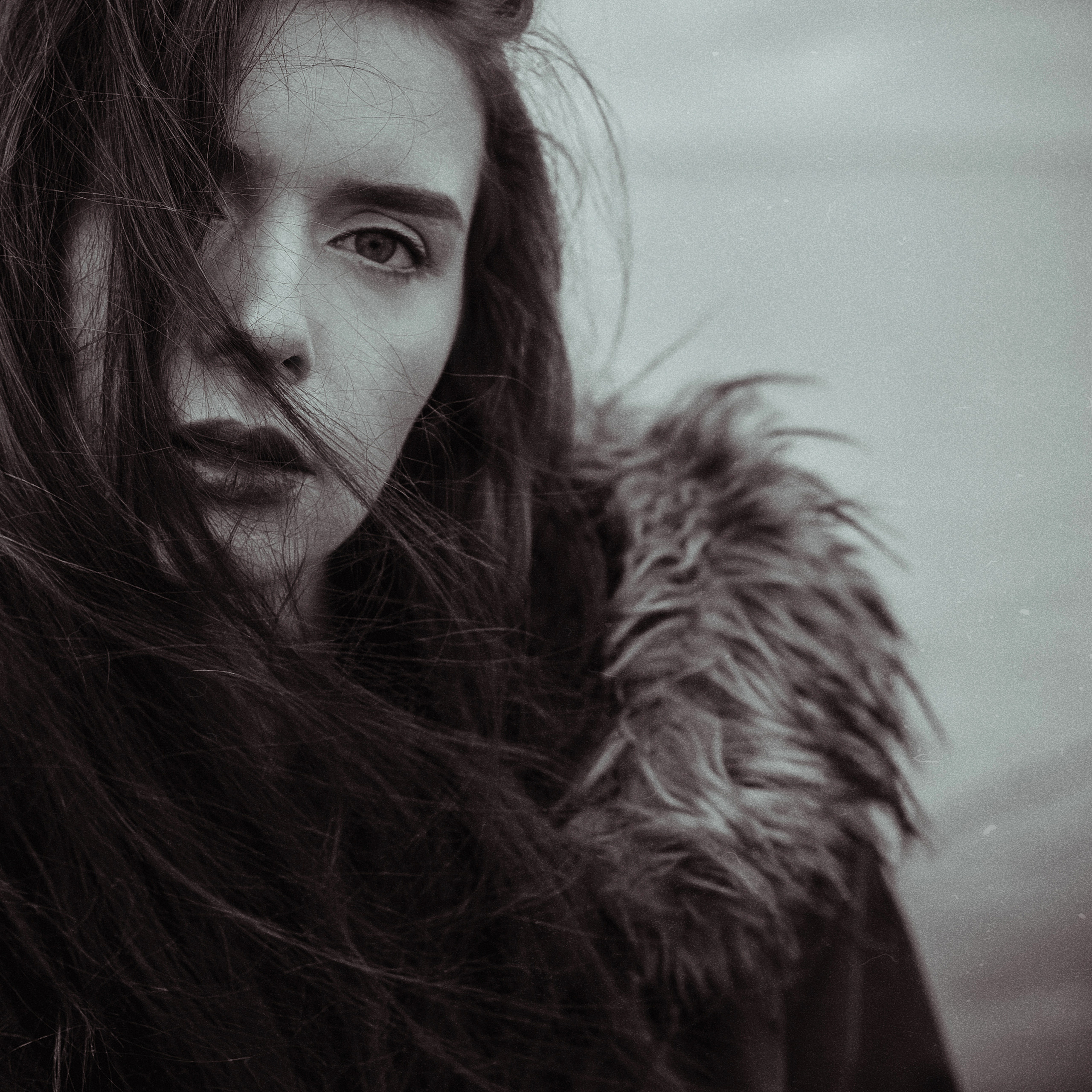 ART GALLERY. Фотограф Анна Гребенник