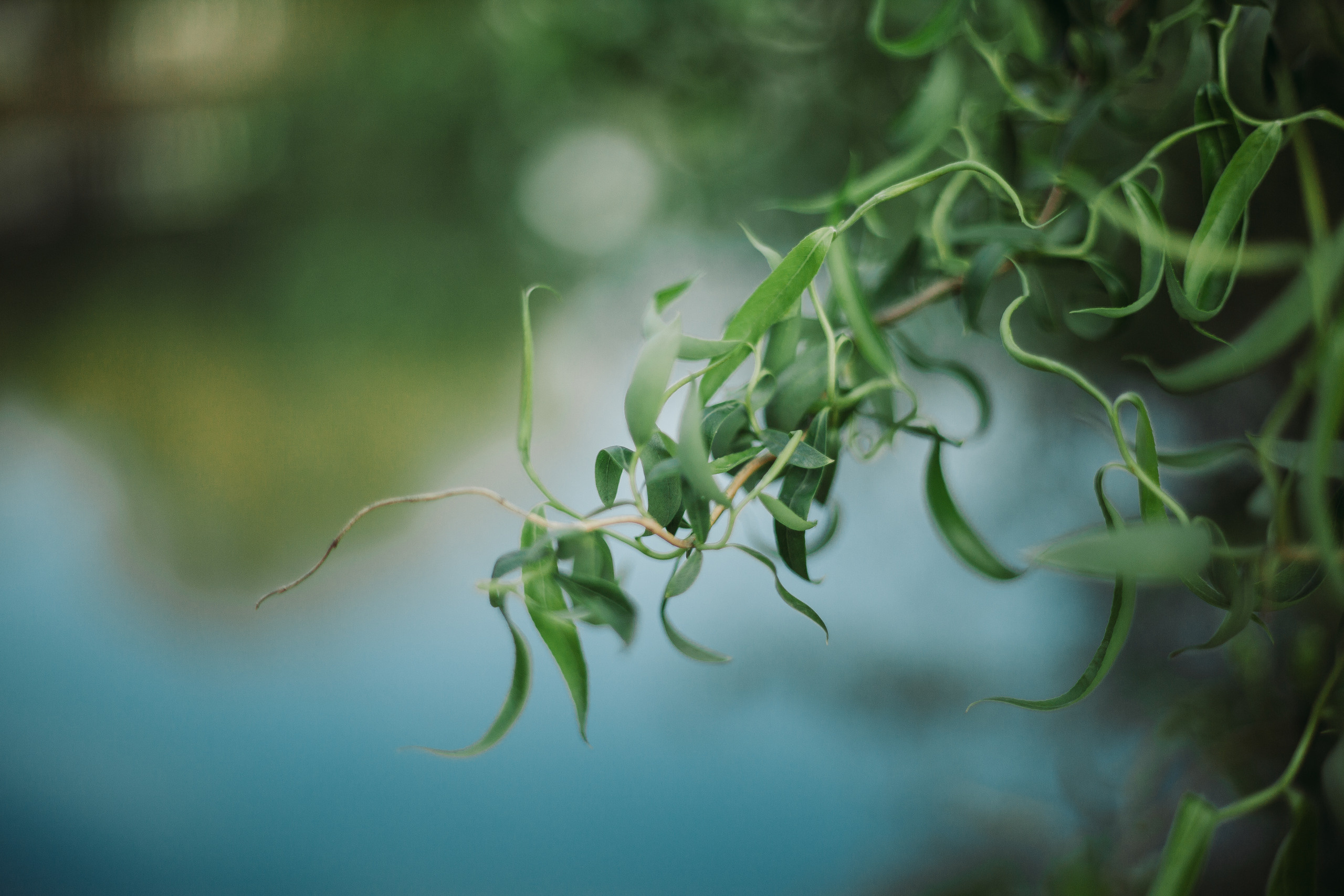 ART GALLERY. Фотограф Анна Гребенник