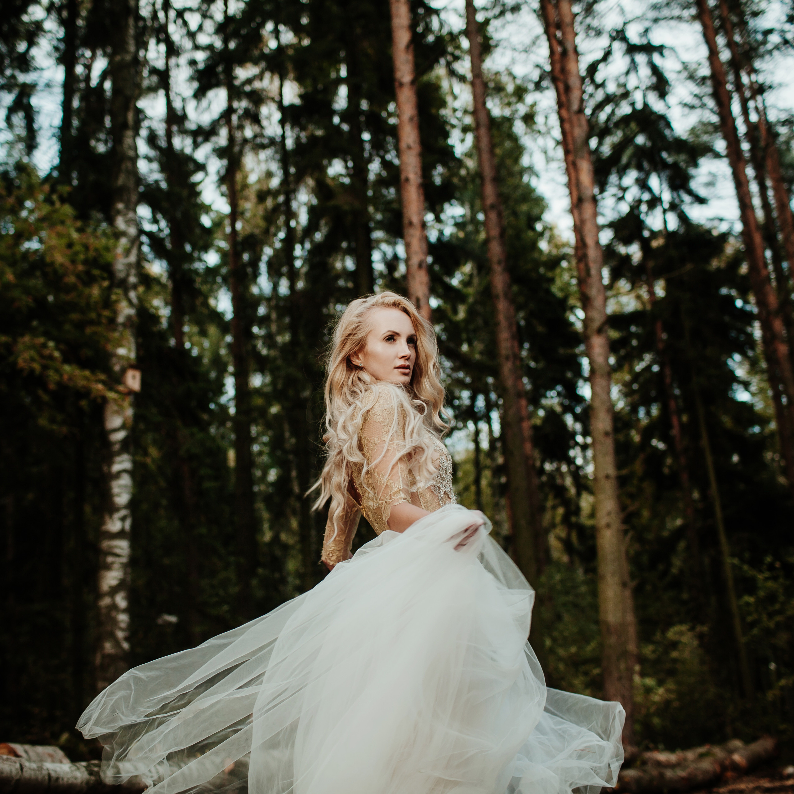 ART GALLERY. Фотограф Анна Гребенник