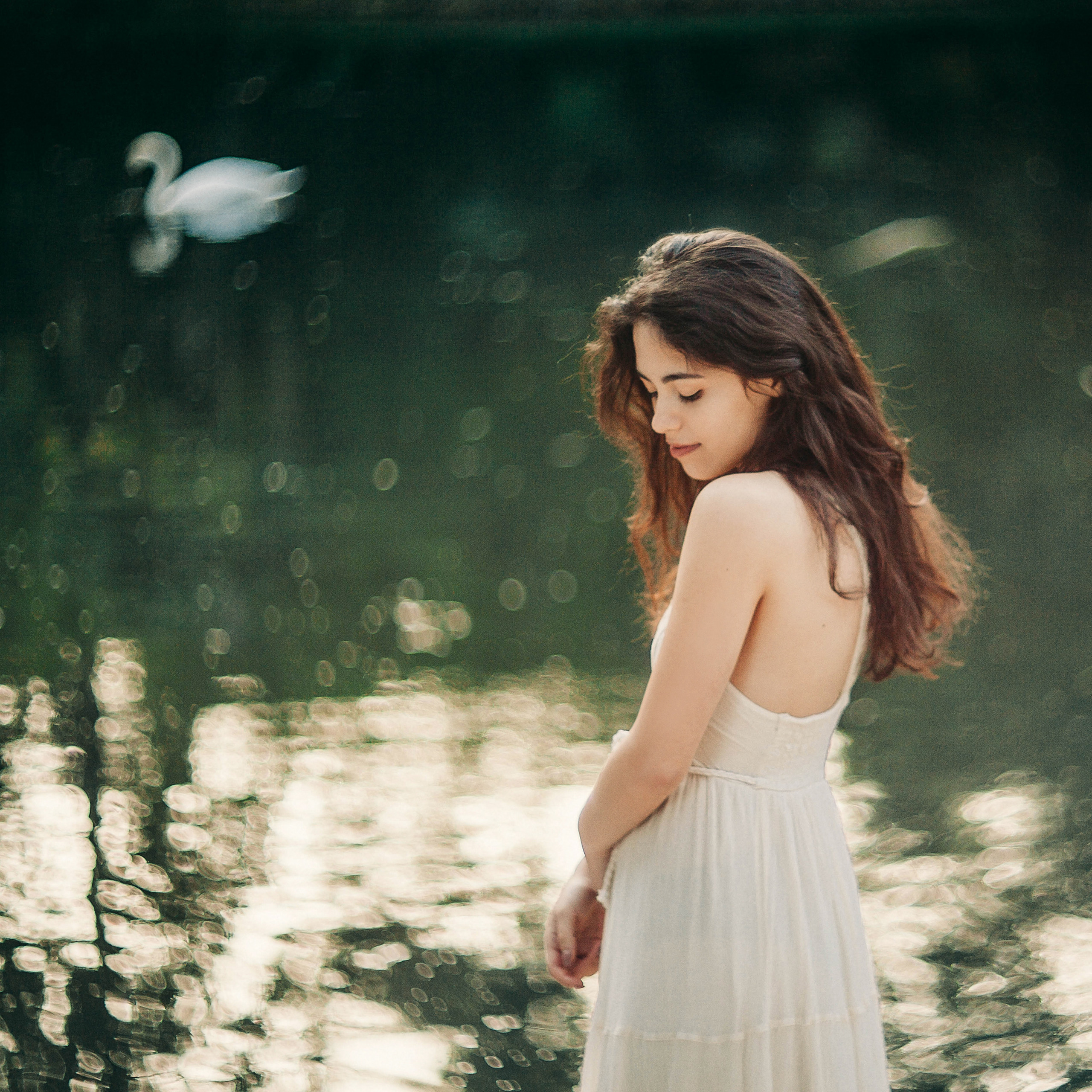 ART GALLERY. Фотограф Анна Гребенник