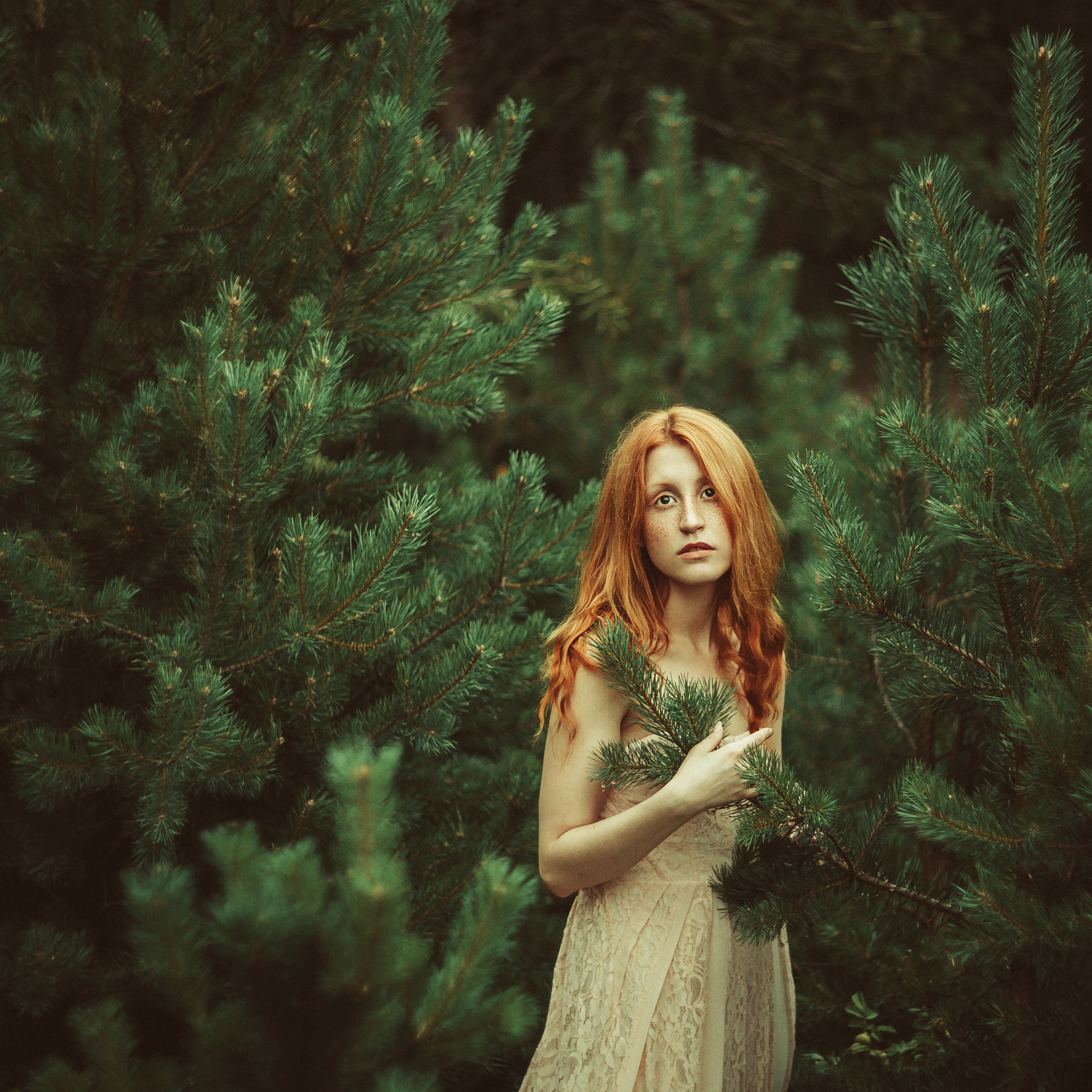 ART GALLERY. Фотограф Анна Гребенник