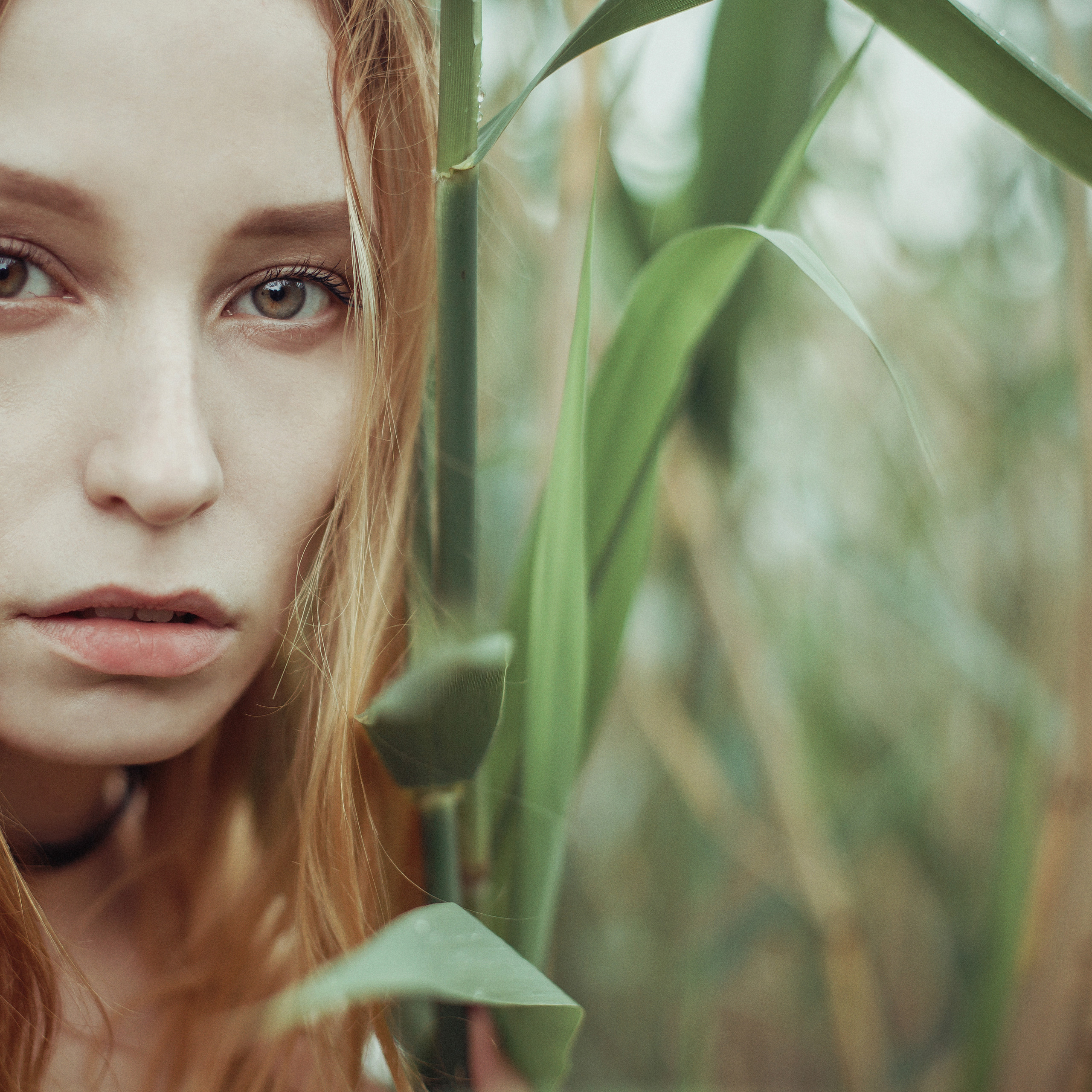 ART GALLERY. Фотограф Анна Гребенник