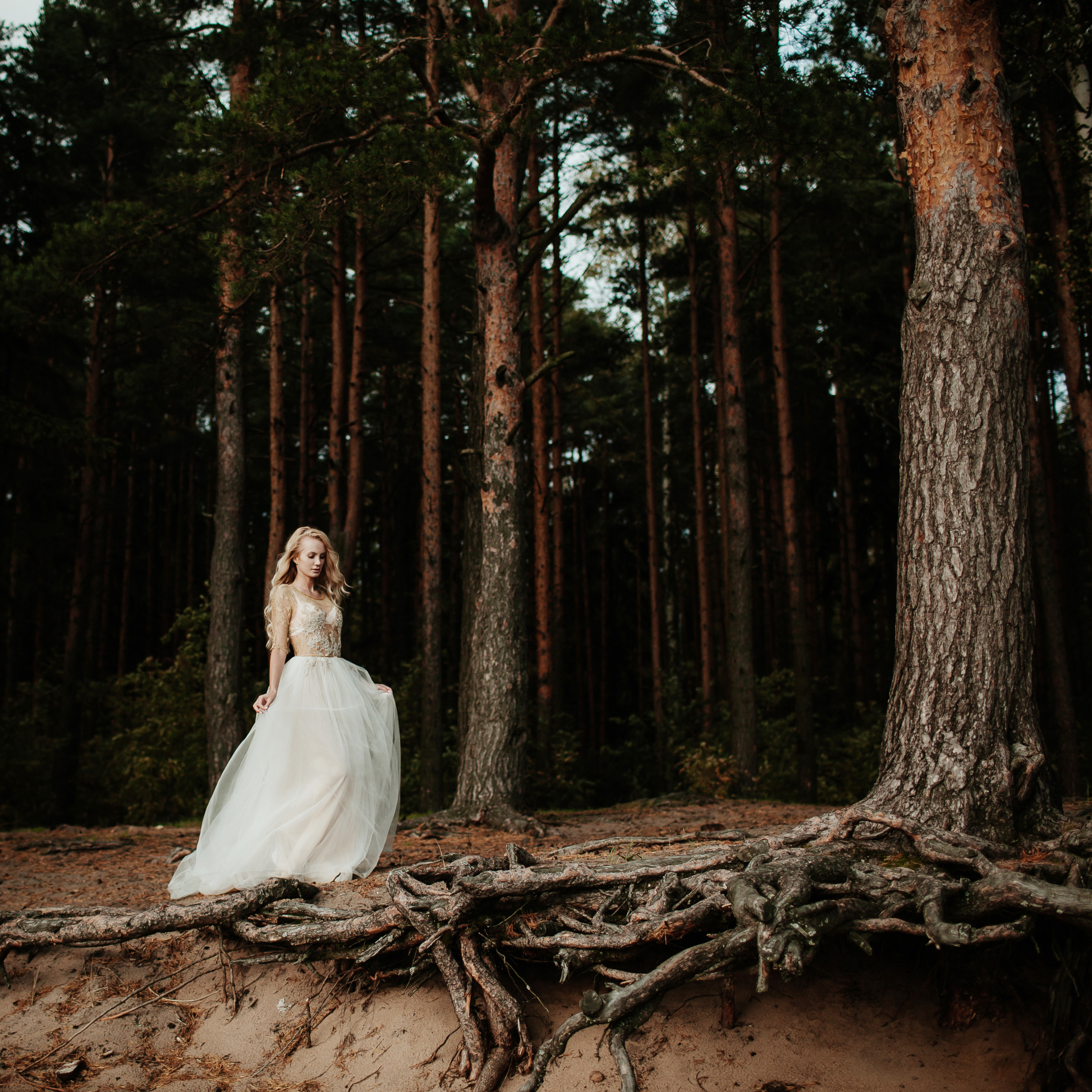 ART GALLERY. Фотограф Анна Гребенник