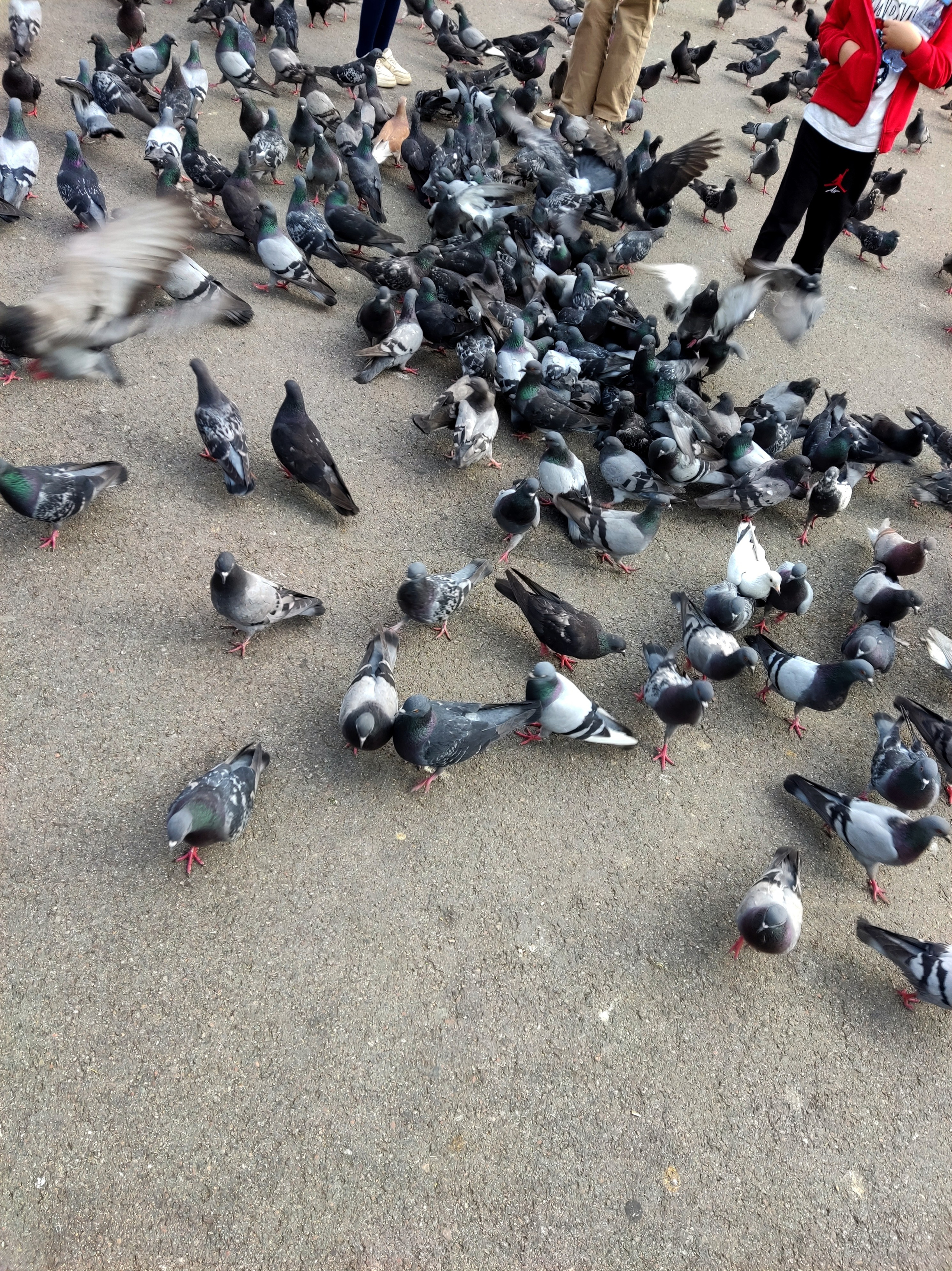 Парк 28 панфиловцев в Алматы — история и достопримечательности