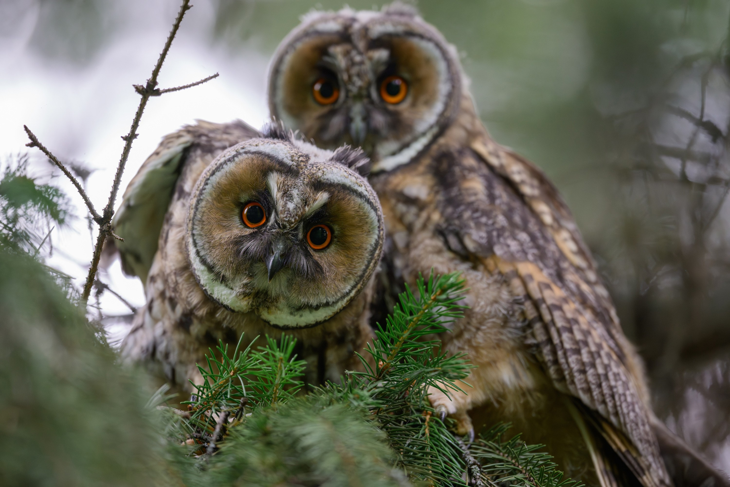 Спортивный и репортажный фотограф Рустам Афлятунов в Казани