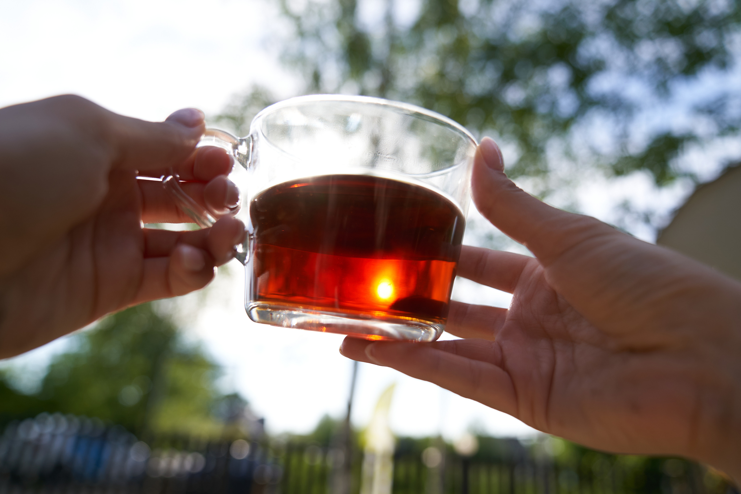 День рождения Анастасии. Сергей Горшенин — профессиональный фотограф