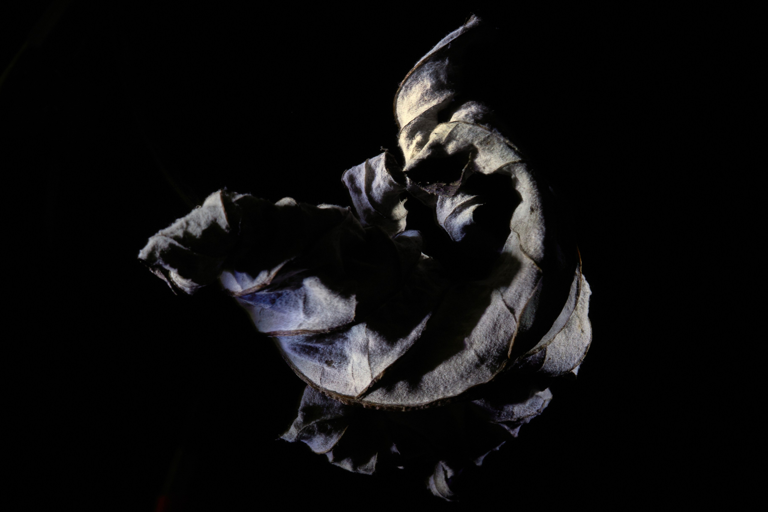 «Тебе кажется…?». Арт-фотограф во Владивостоке Дмитрий Осипчук